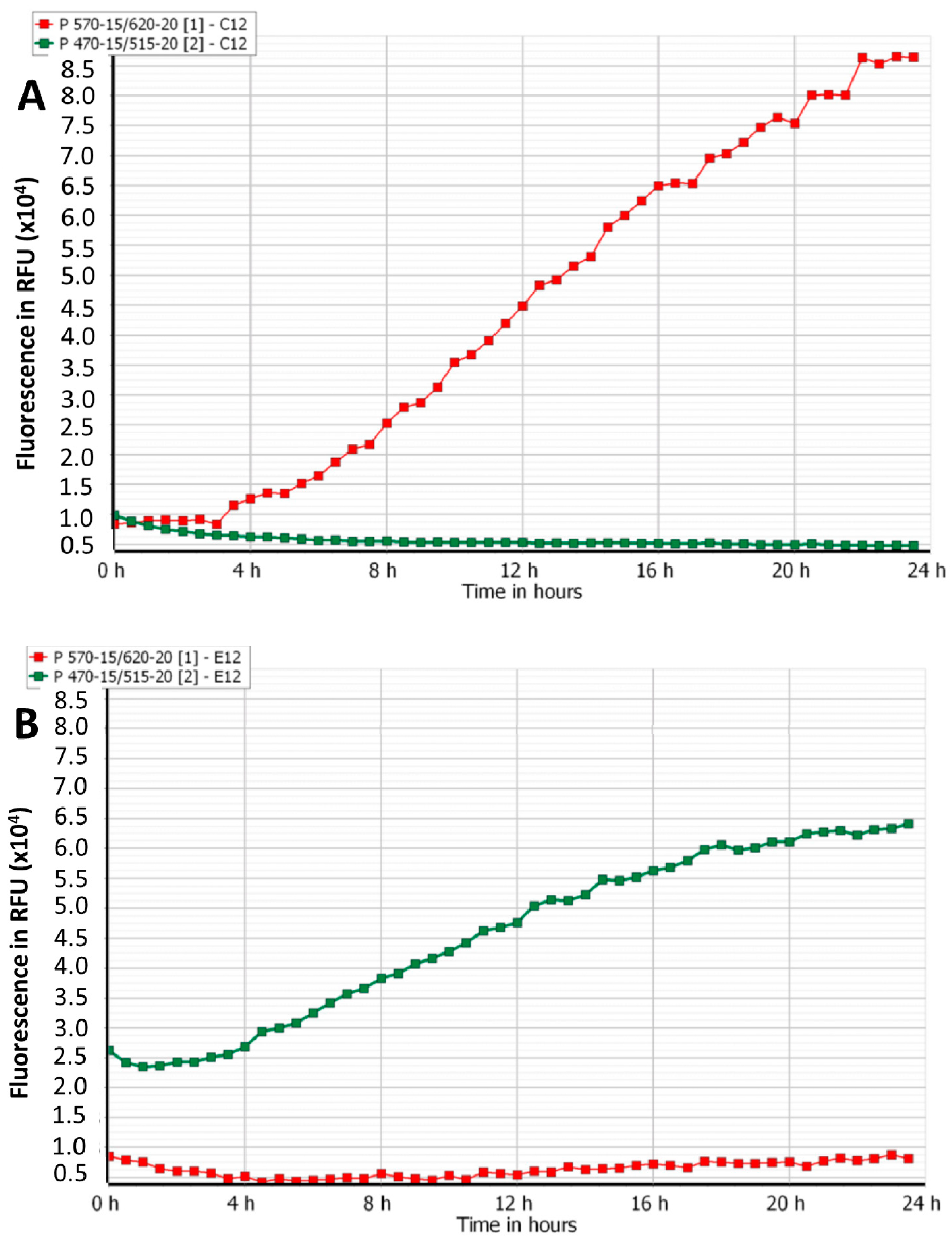 Viruses 12 00559 g002a Viruses 12 00559 g002a