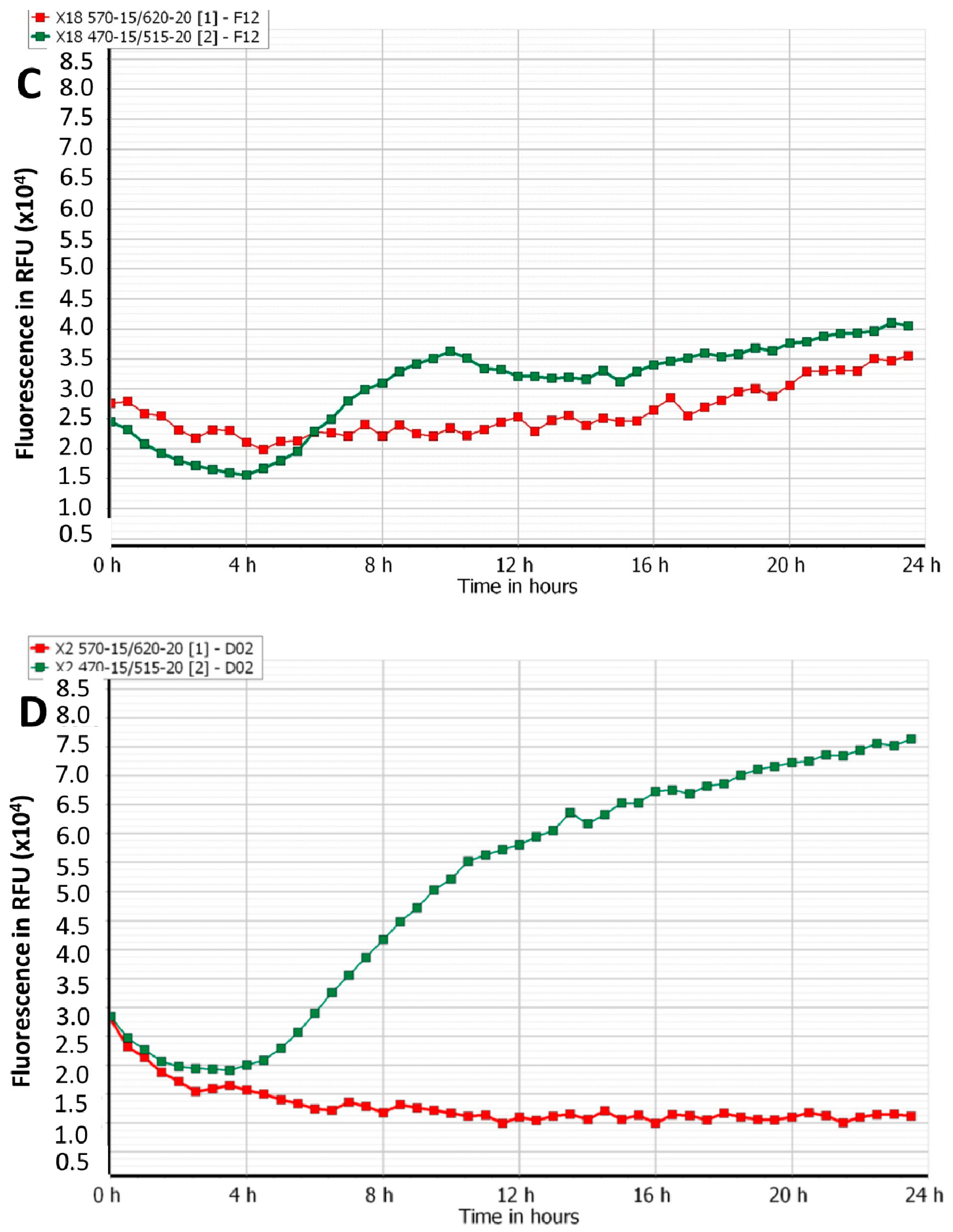 Viruses 12 00559 g002b Viruses 12 00559 g002b