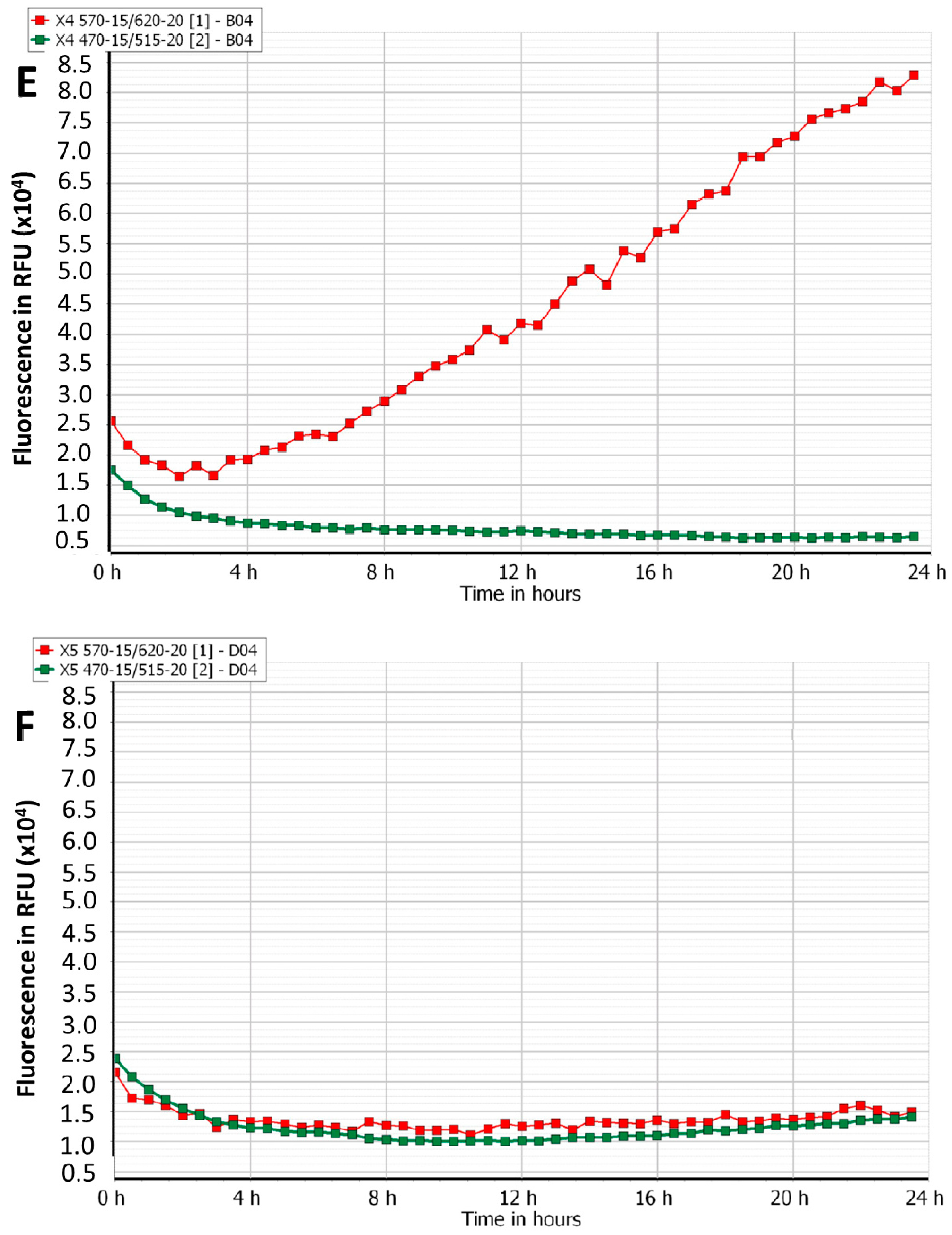 Viruses 12 00559 g002c Viruses 12 00559 g002c