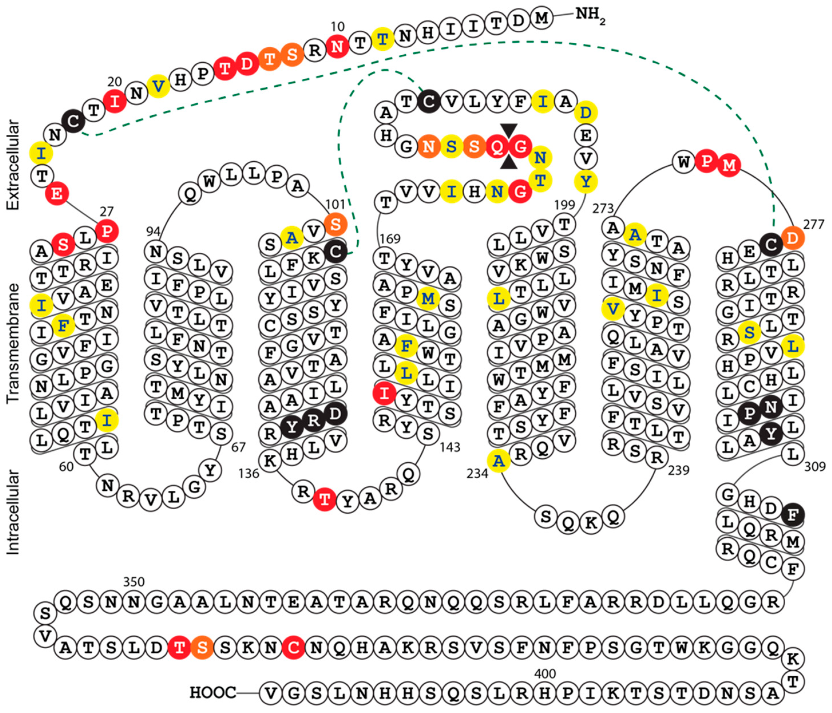 Viruses 12 00594 g004 Viruses 12 00594 g004