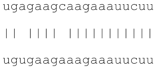 Viruses 12 00614 i003