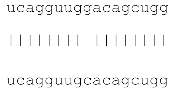 Viruses 12 00614 i004