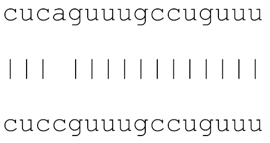 Viruses 12 00614 i005