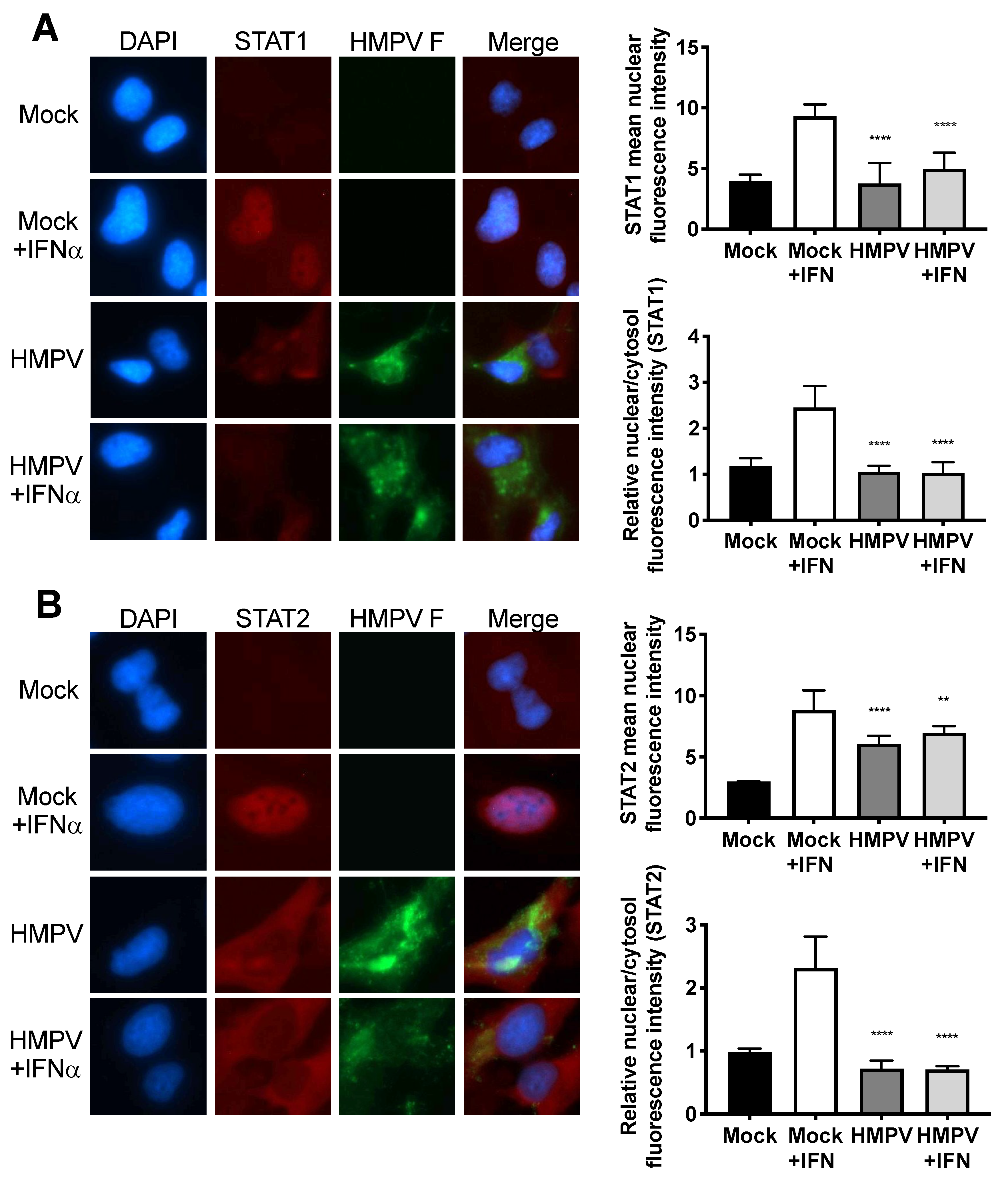 Viruses 12 00724 g002 Viruses 12 00724 g002