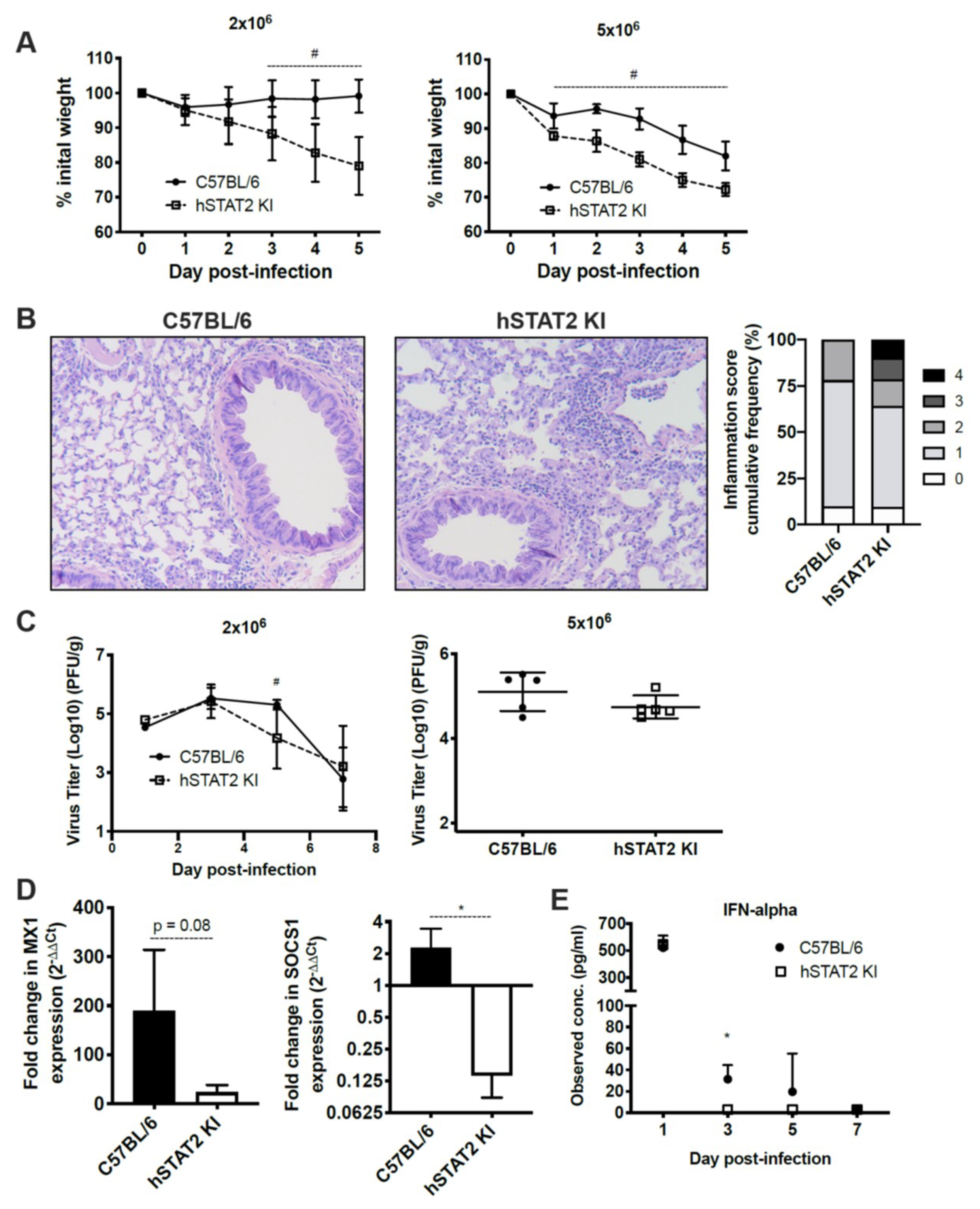 Viruses 12 00724 g007 Viruses 12 00724 g007