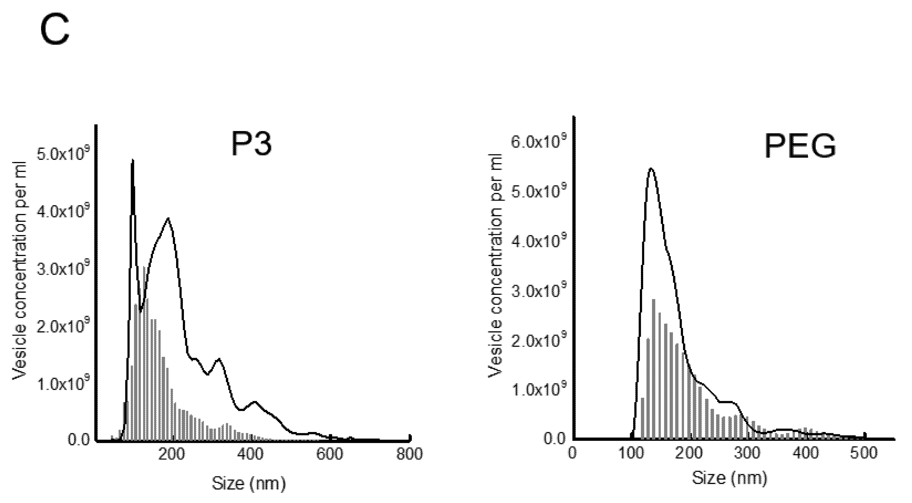 Viruses 12 00763 g002b