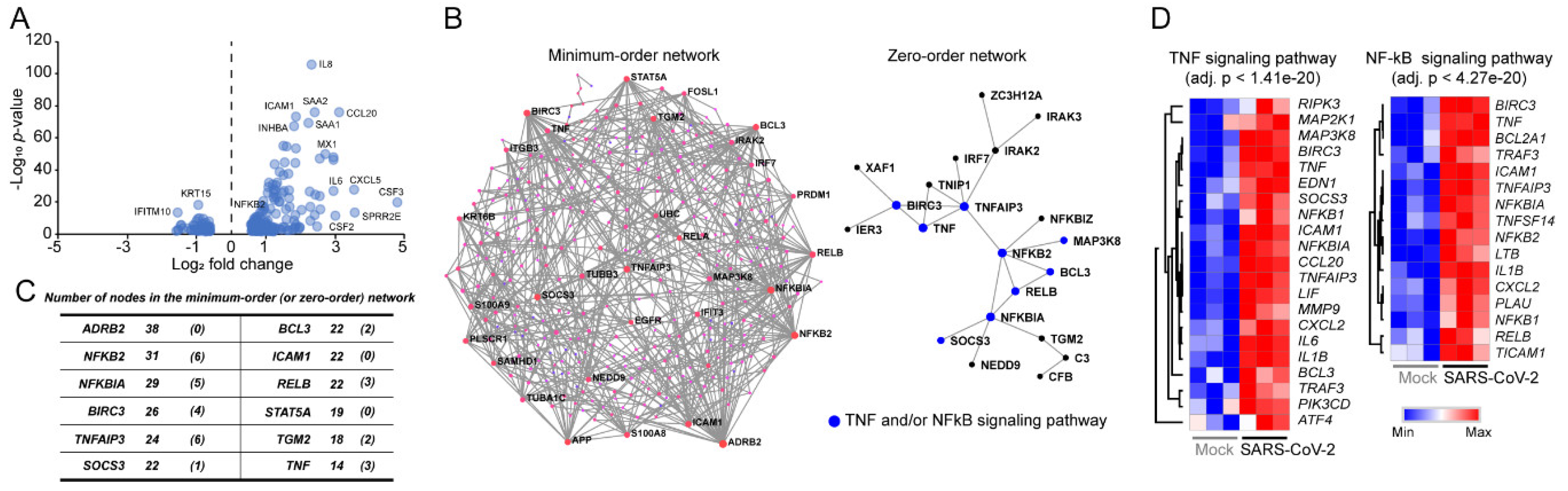 Viruses Free Full Text Tiotropium Is Predicted To Be A Promising Drug For Covid 19 Through Transcriptome Based Comprehensive Molecular Pathway Analysis Html