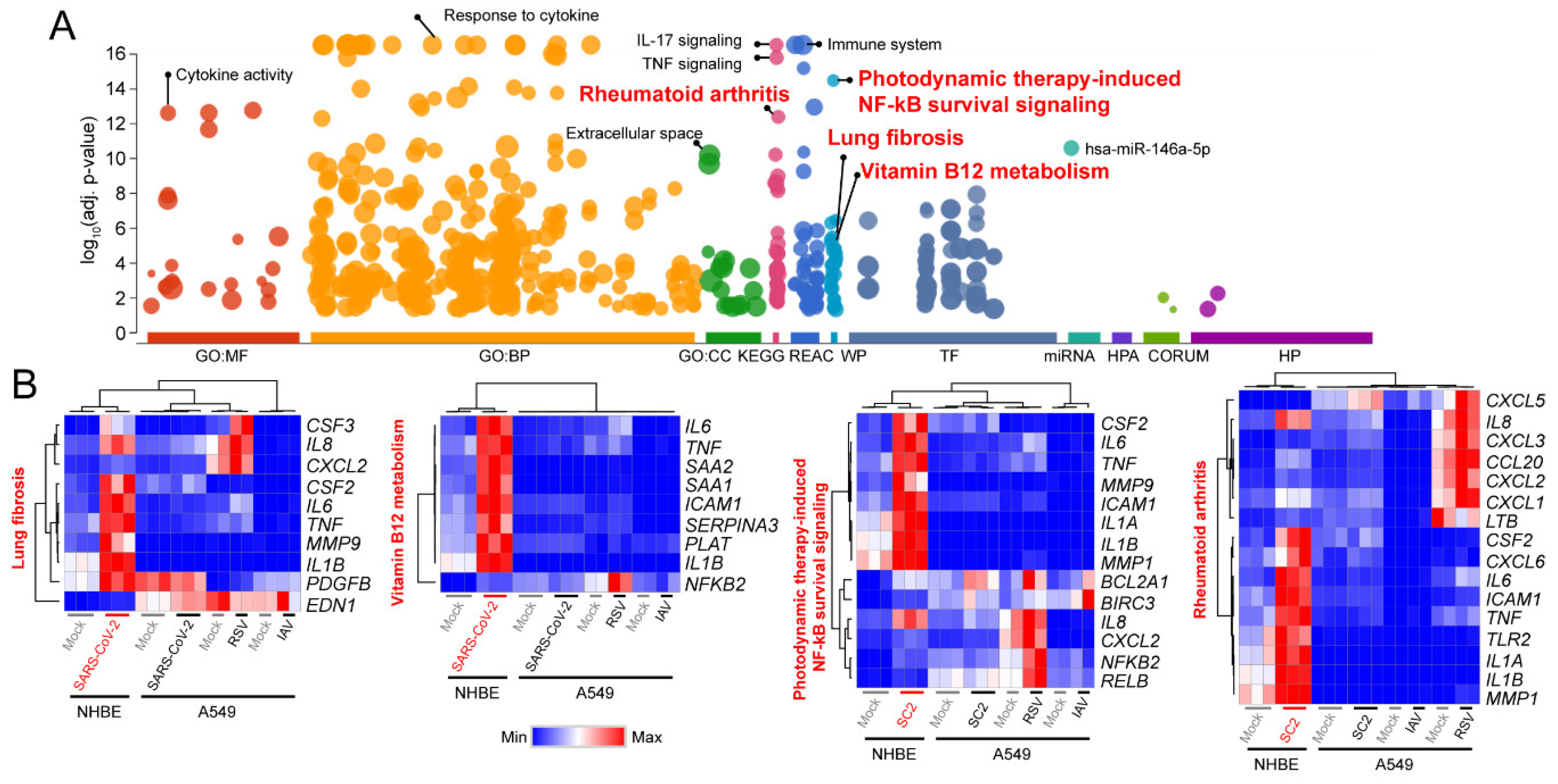 Viruses 12 00776 g002