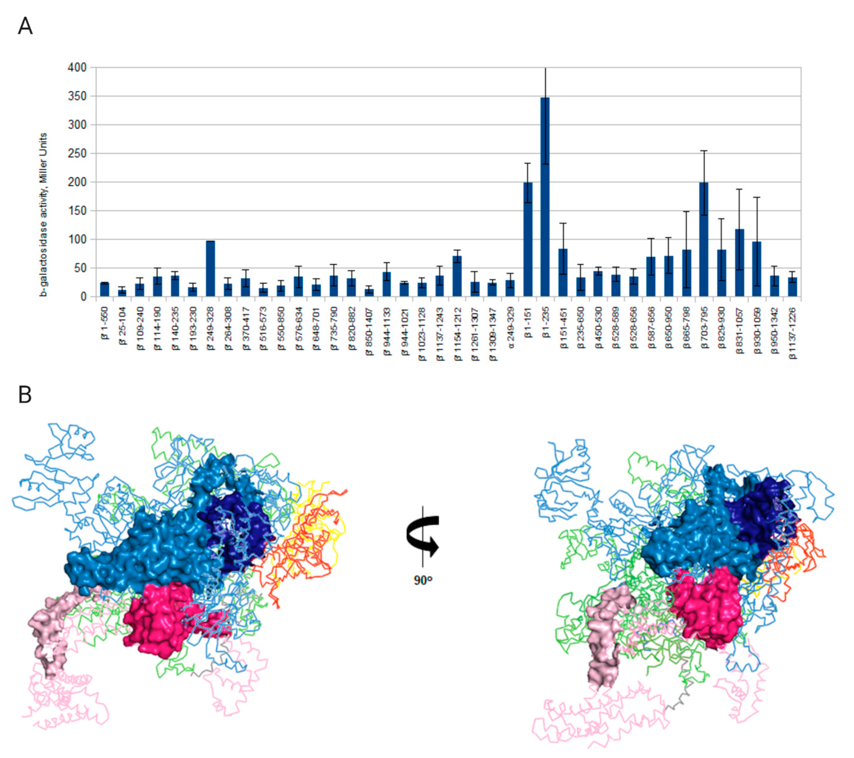 Viruses 12 00807 g004 Viruses 12 00807 g004