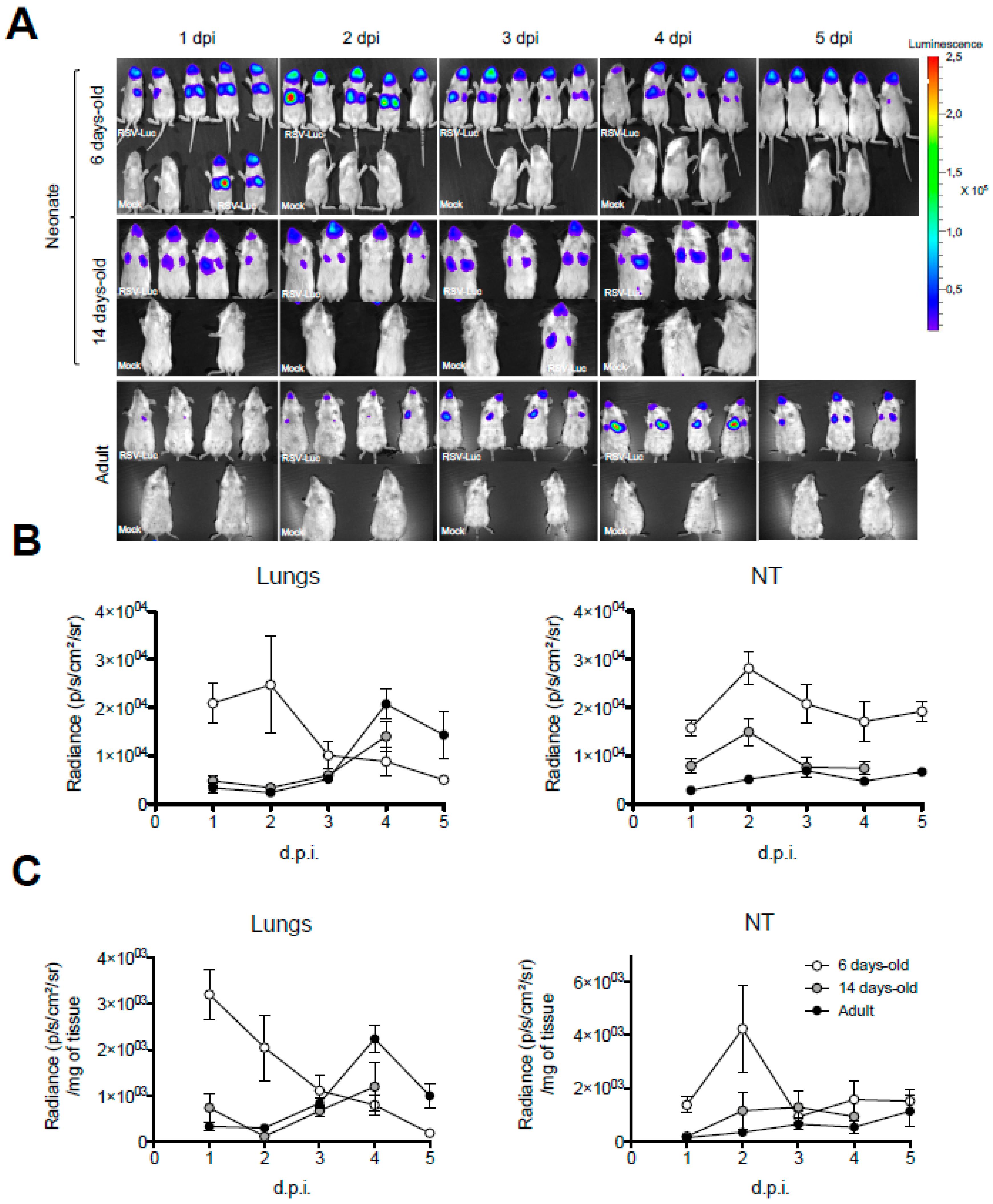 Viruses 12 00822 g002 Viruses 12 00822 g002