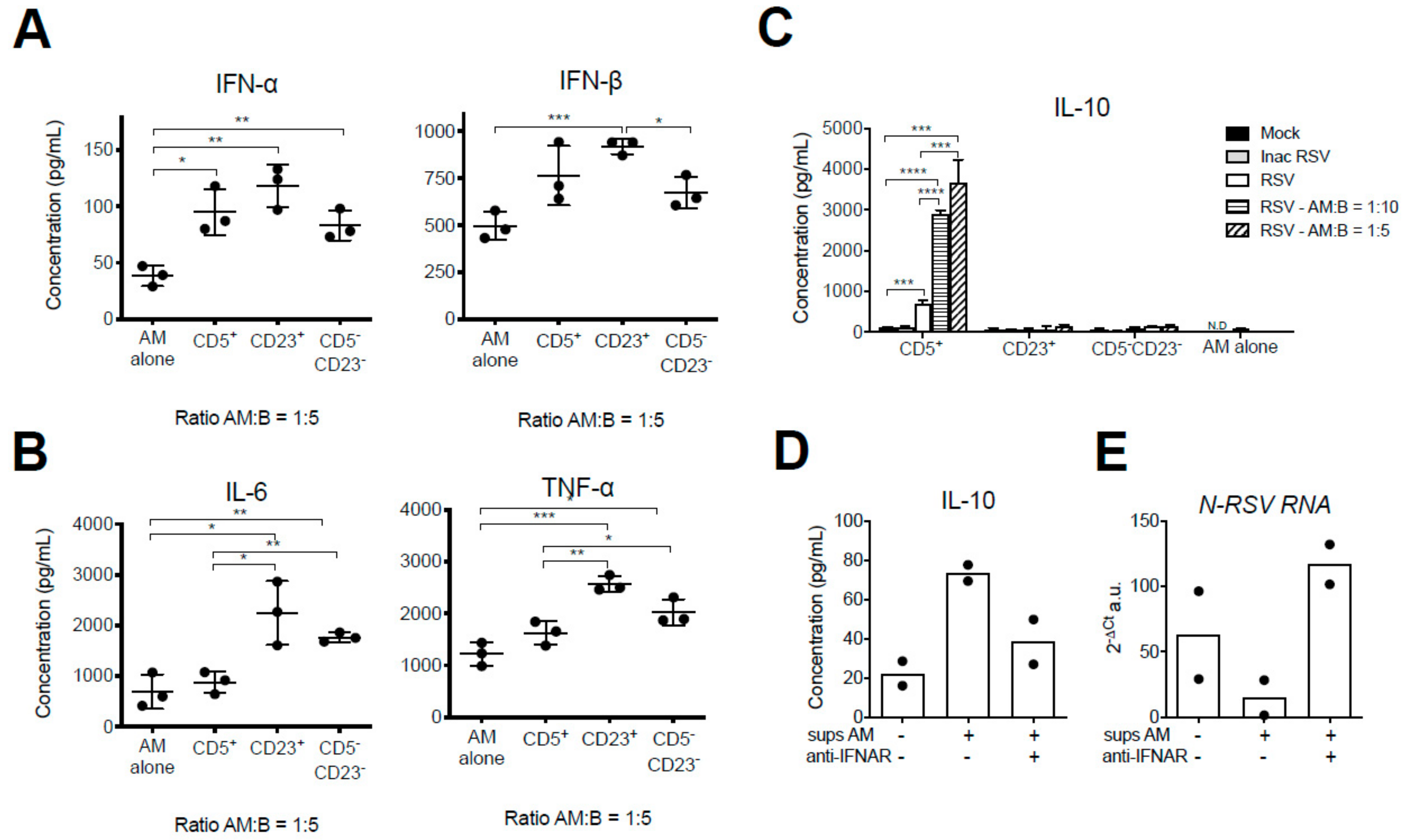 Viruses 12 00822 g005 Viruses 12 00822 g005