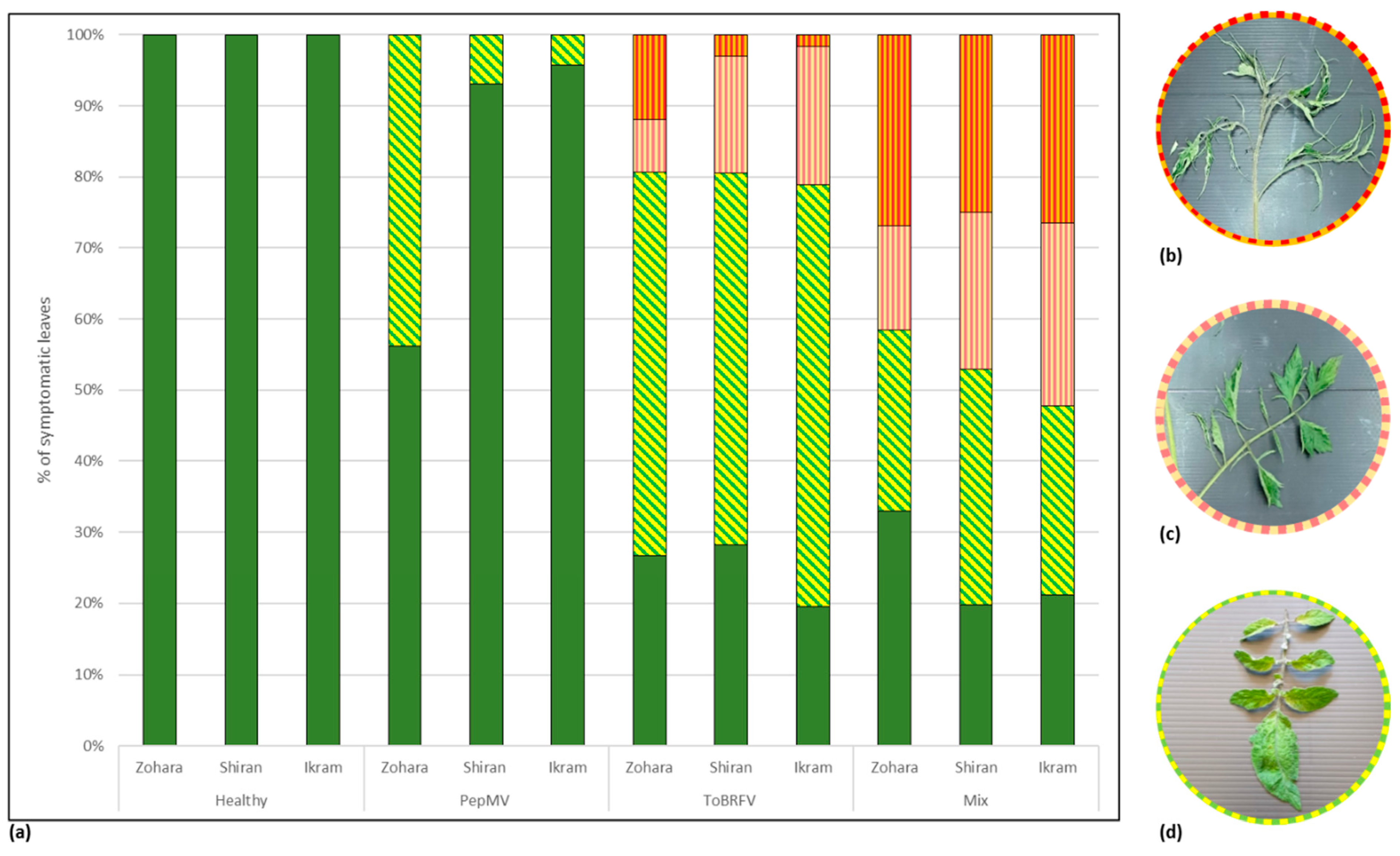 Viruses 12 00879 g002 Viruses 12 00879 g002