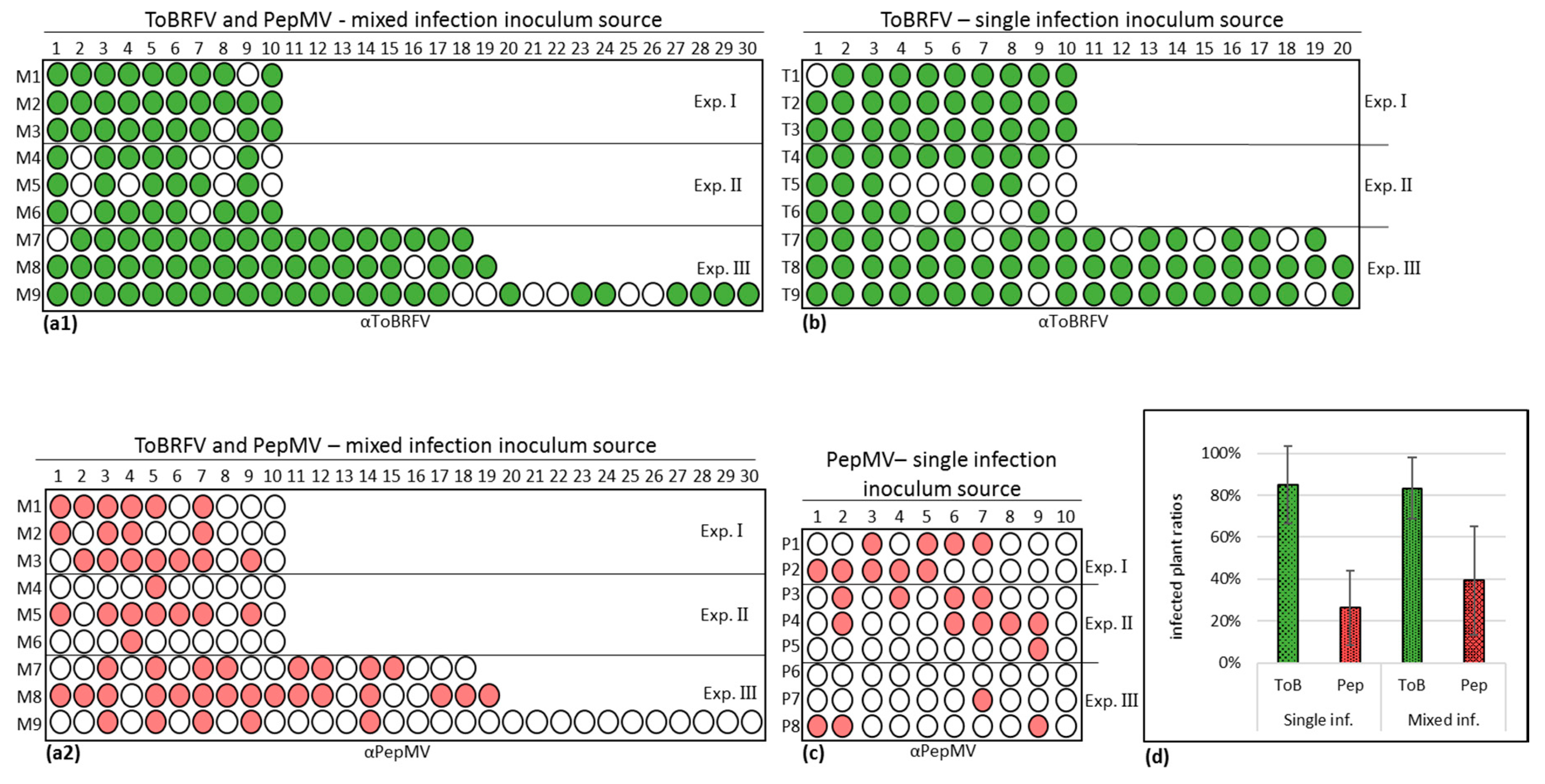 Viruses 12 00879 g003 Viruses 12 00879 g003