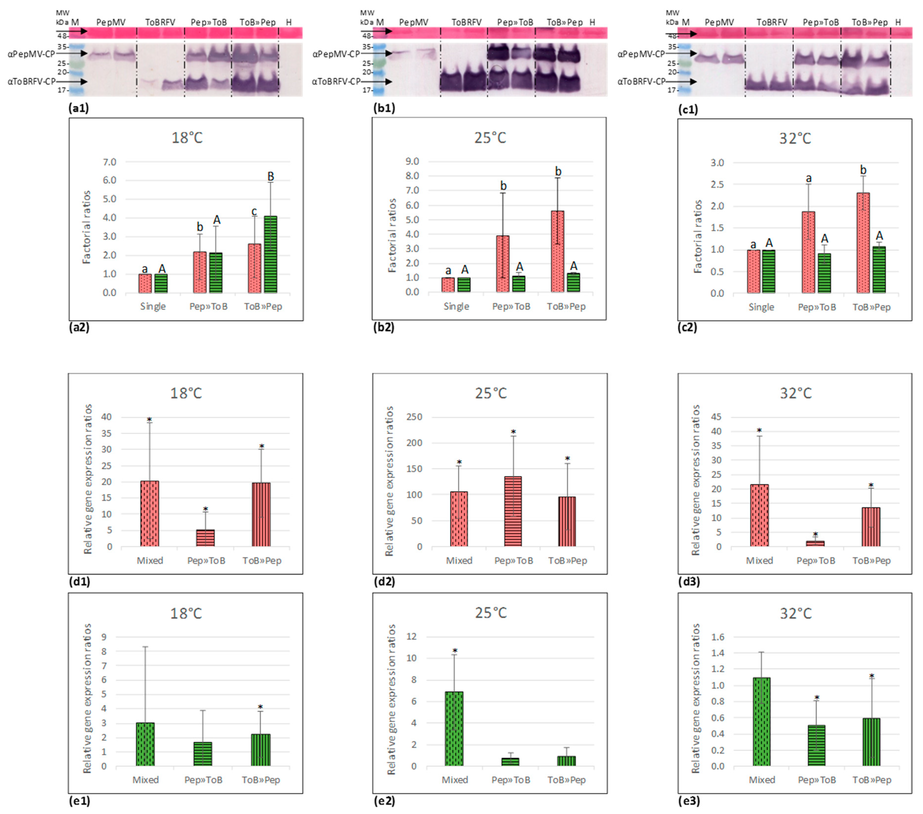 Viruses 12 00879 g006 Viruses 12 00879 g006