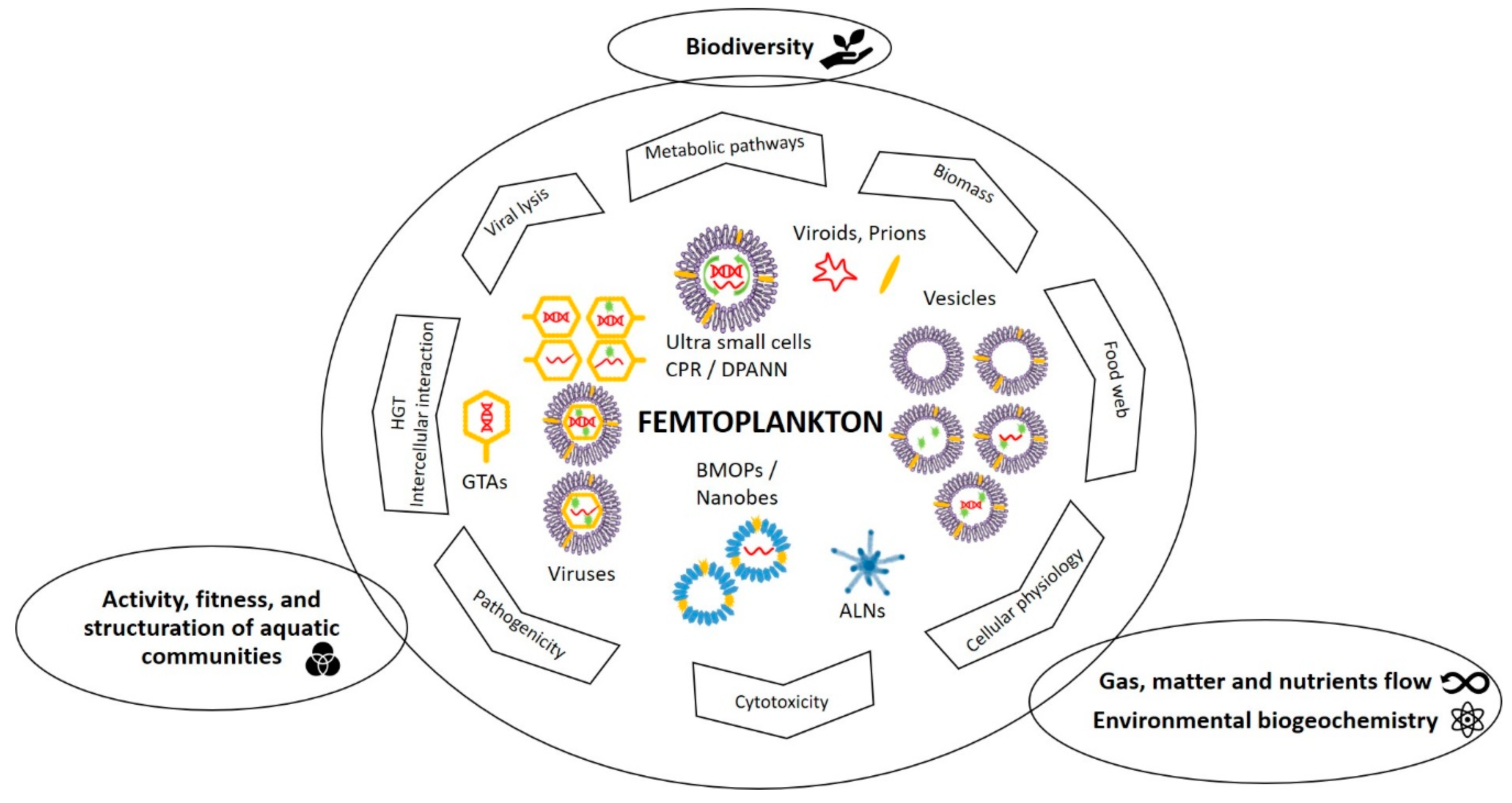Viruses 12 00881 g008 Viruses 12 00881 g008