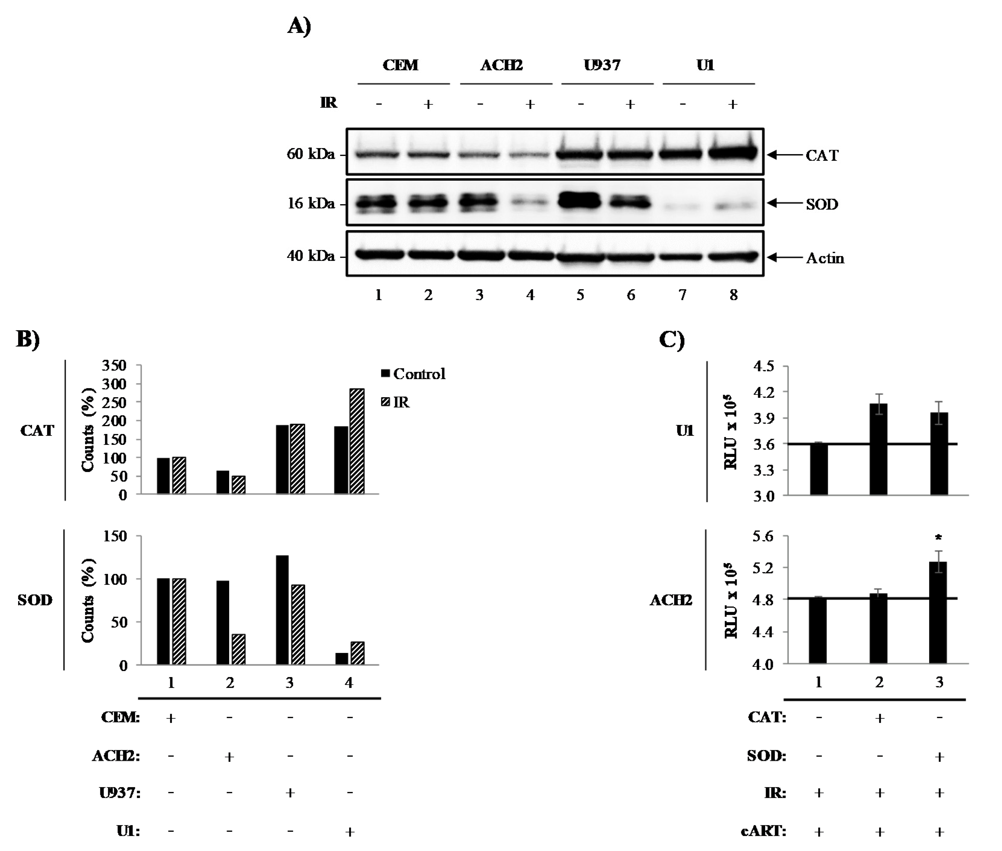 Viruses 12 00885 g001 Viruses 12 00885 g001