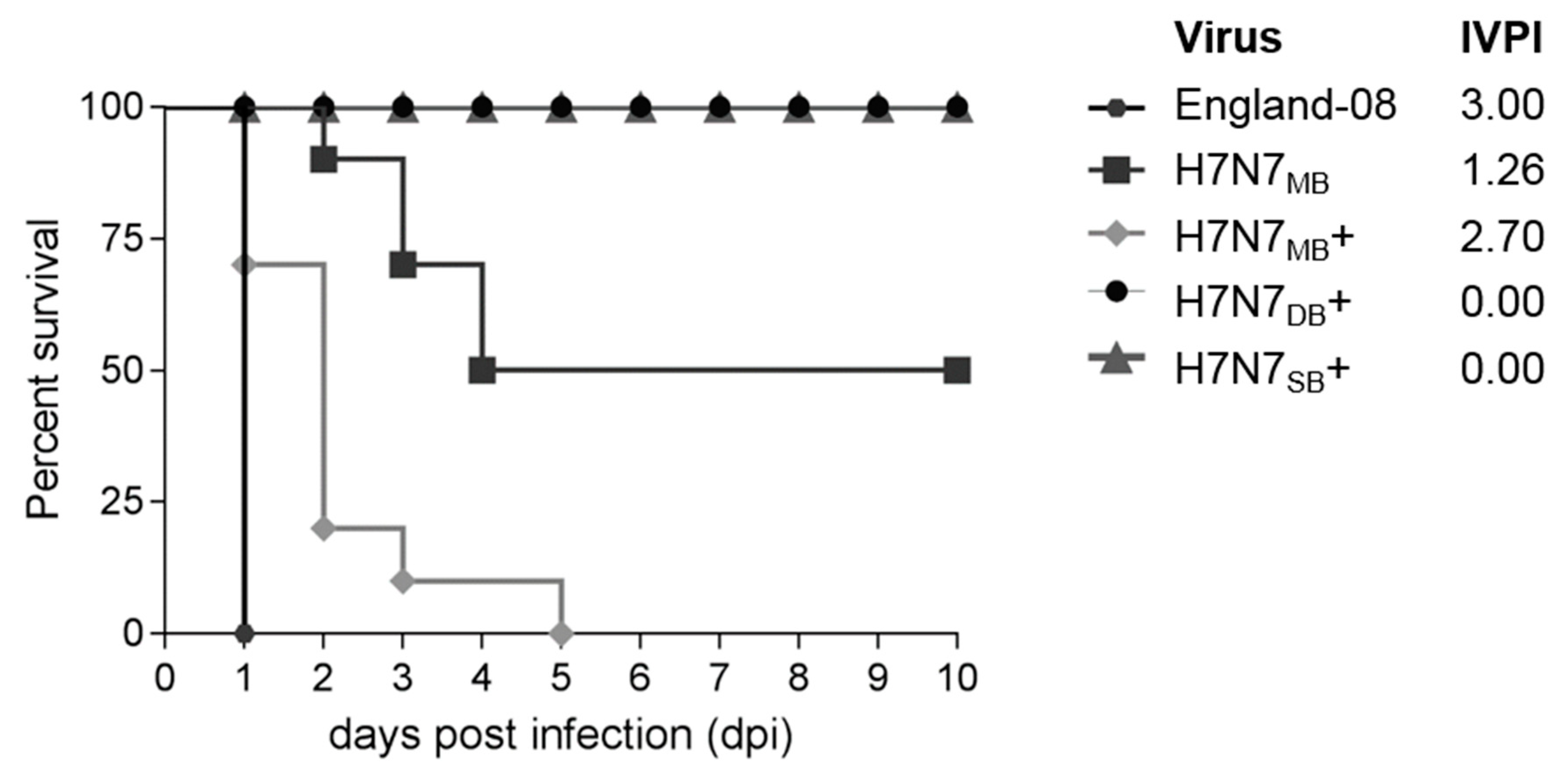 Viruses 12 00920 g002