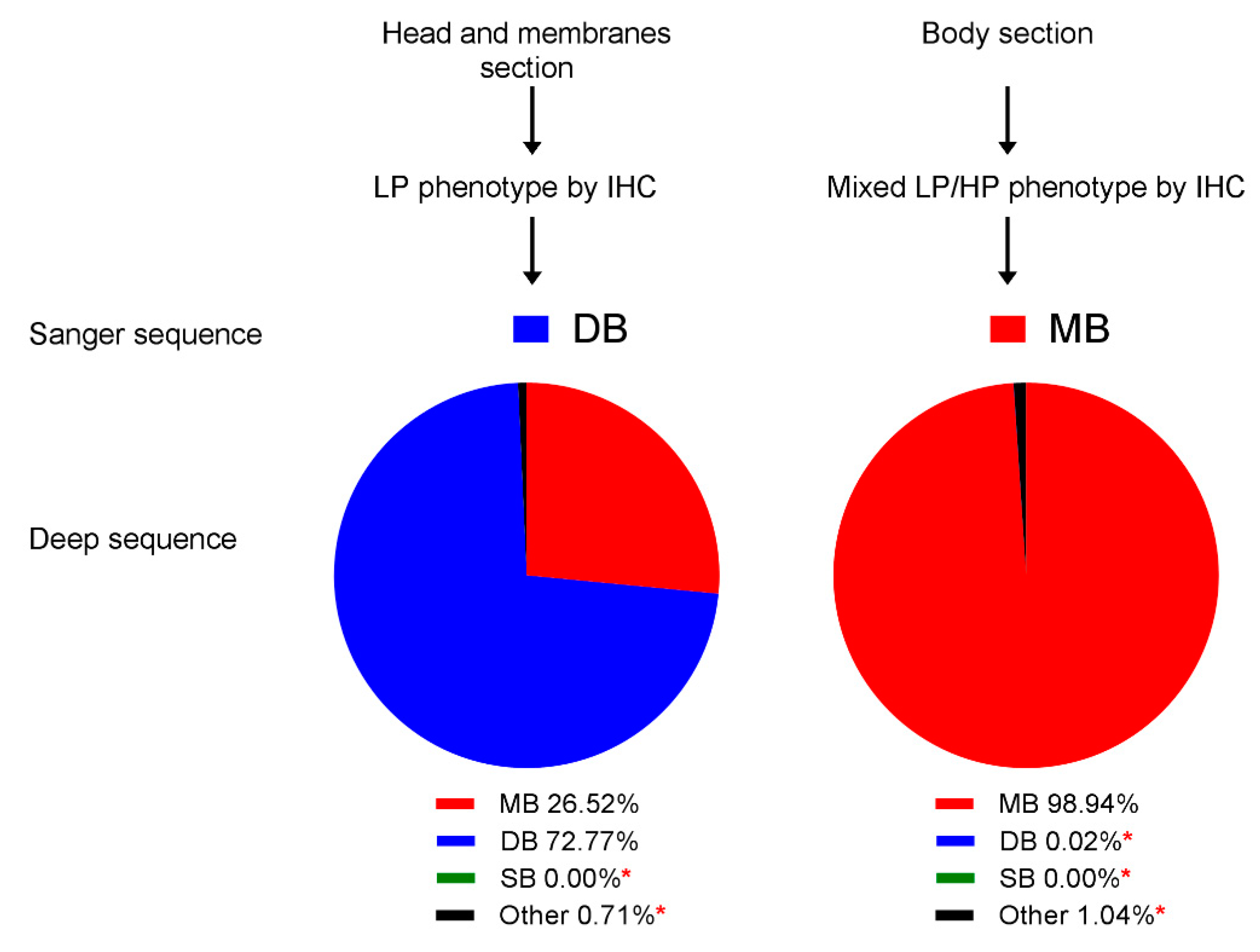 Viruses 12 00920 g006