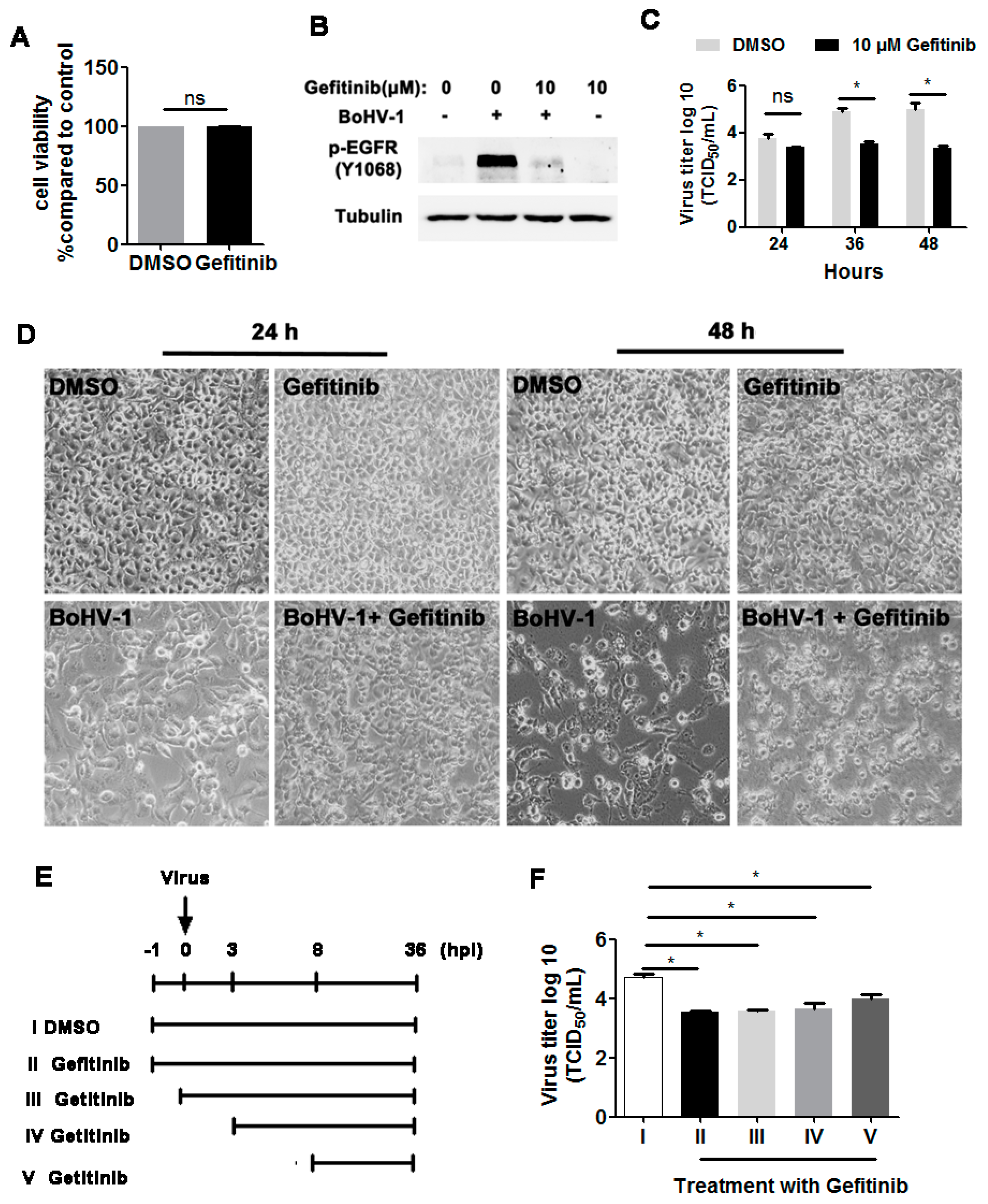 Viruses 12 00927 g003