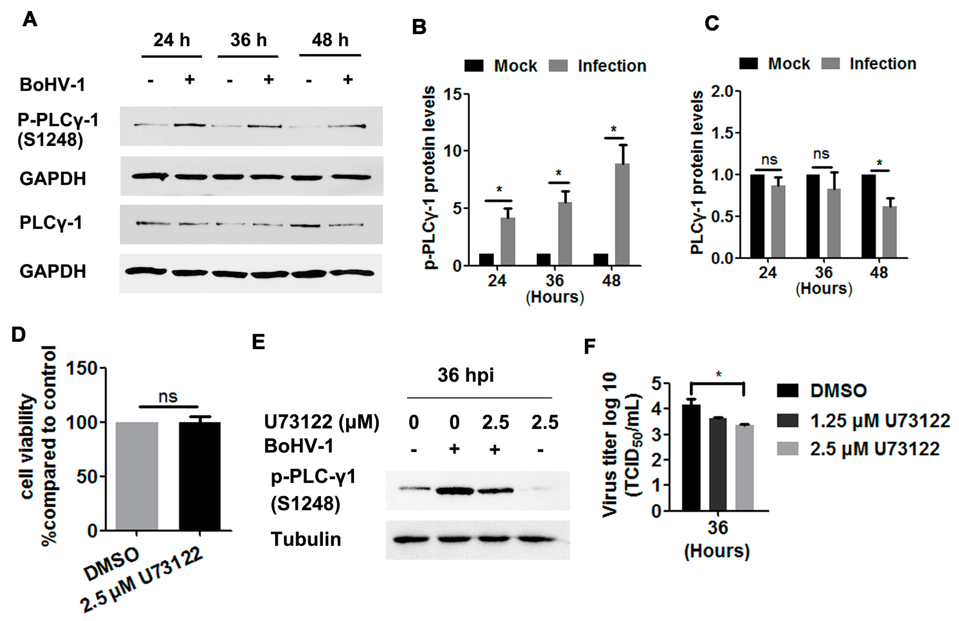 Viruses 12 00927 g005