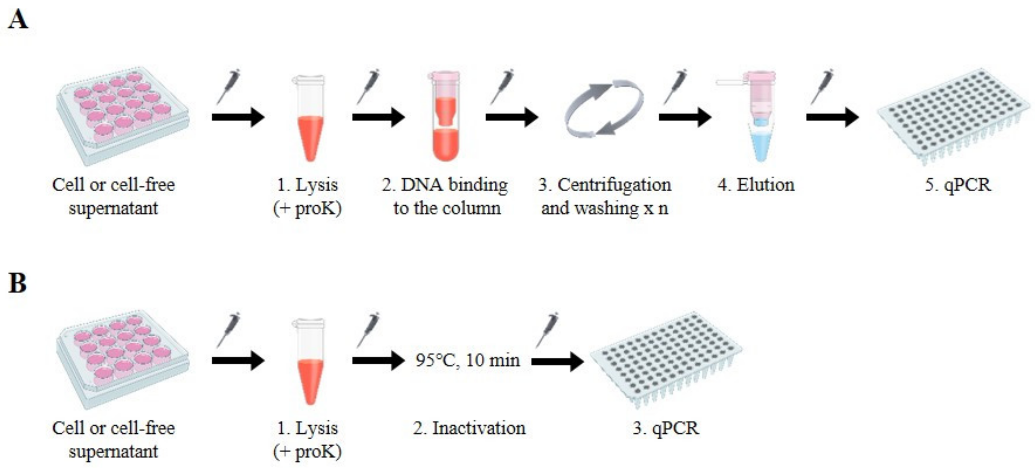 frontiers-biological-characterization-of-hepatitis-b-virus-genotypes