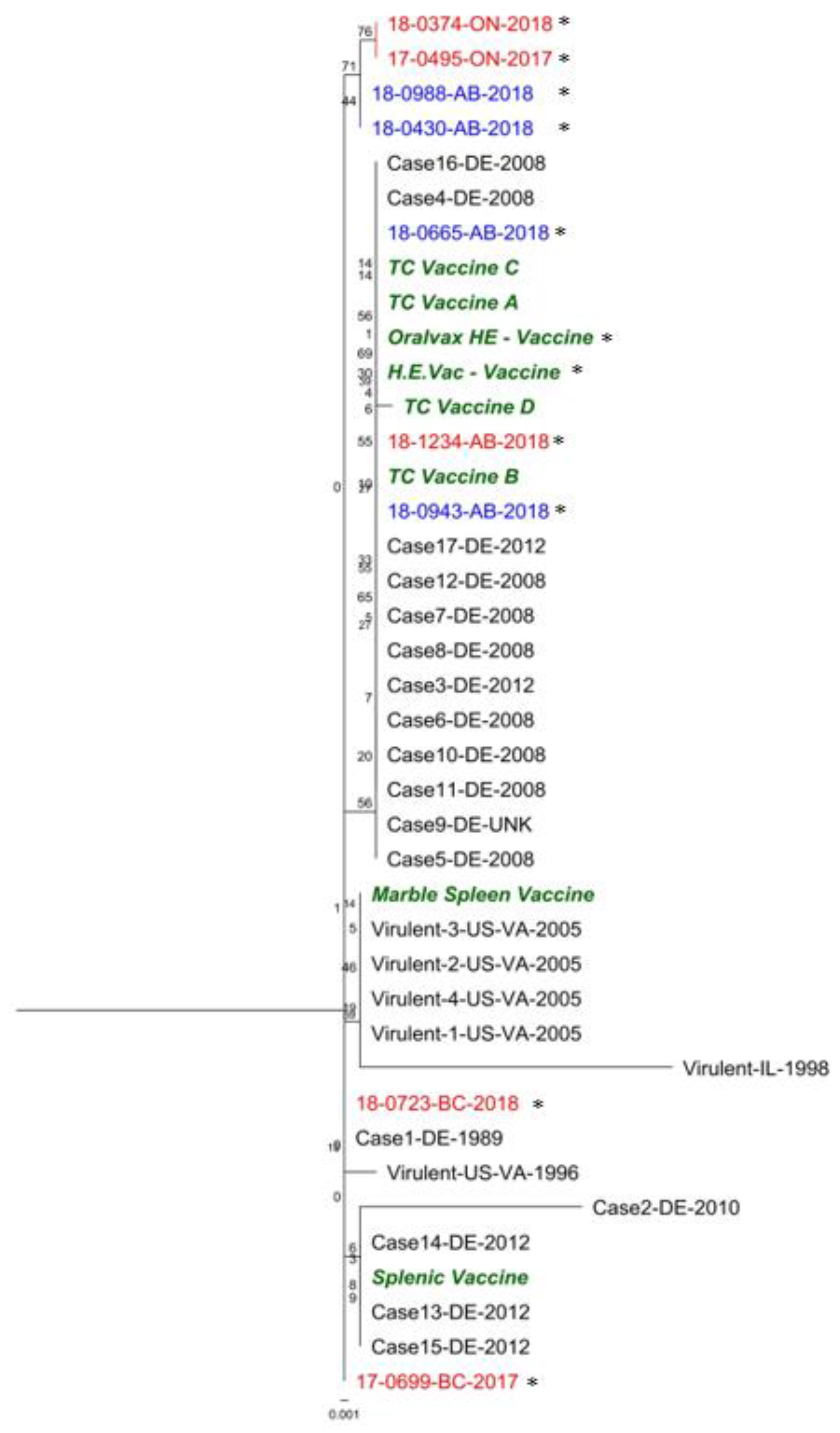 Viruses 12 00941 g003