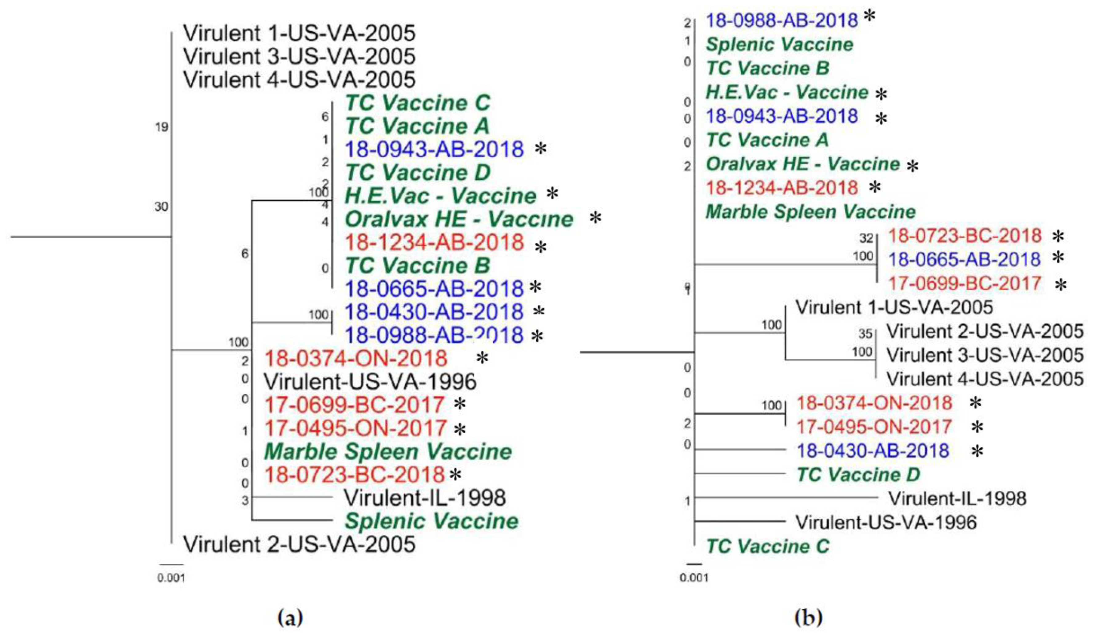 Viruses 12 00941 g004