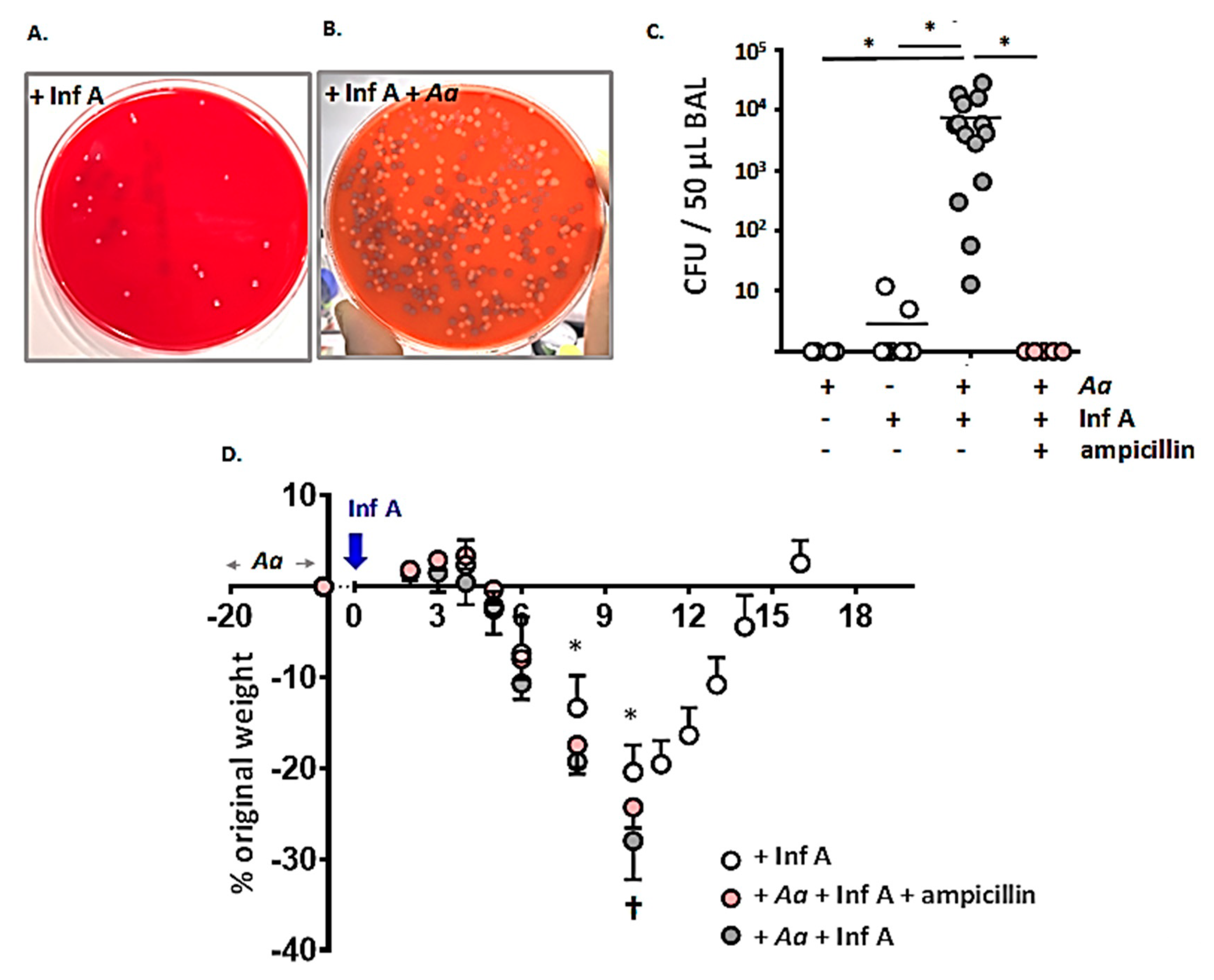 Viruses 12 00946 g004