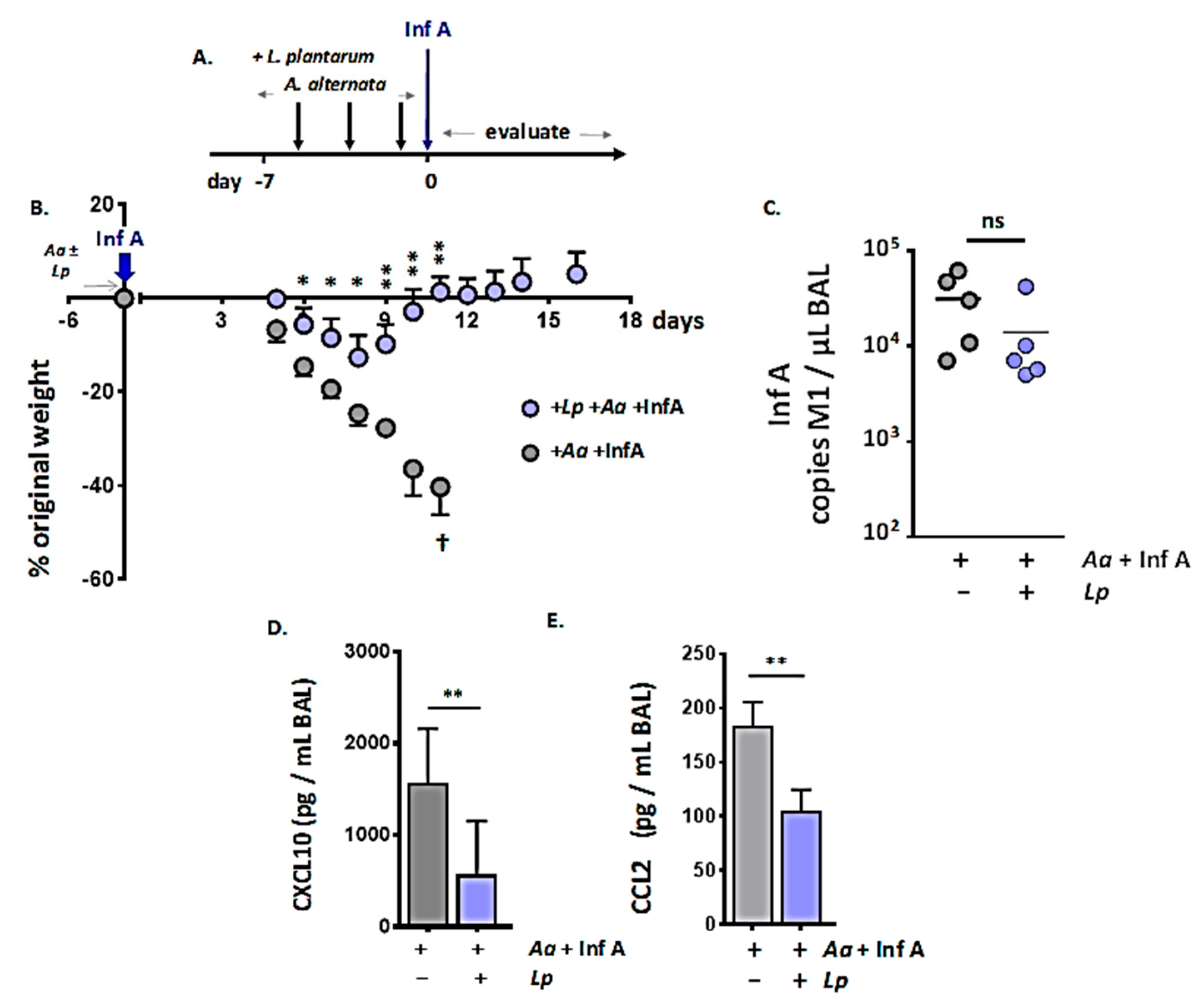 Viruses 12 00946 g005