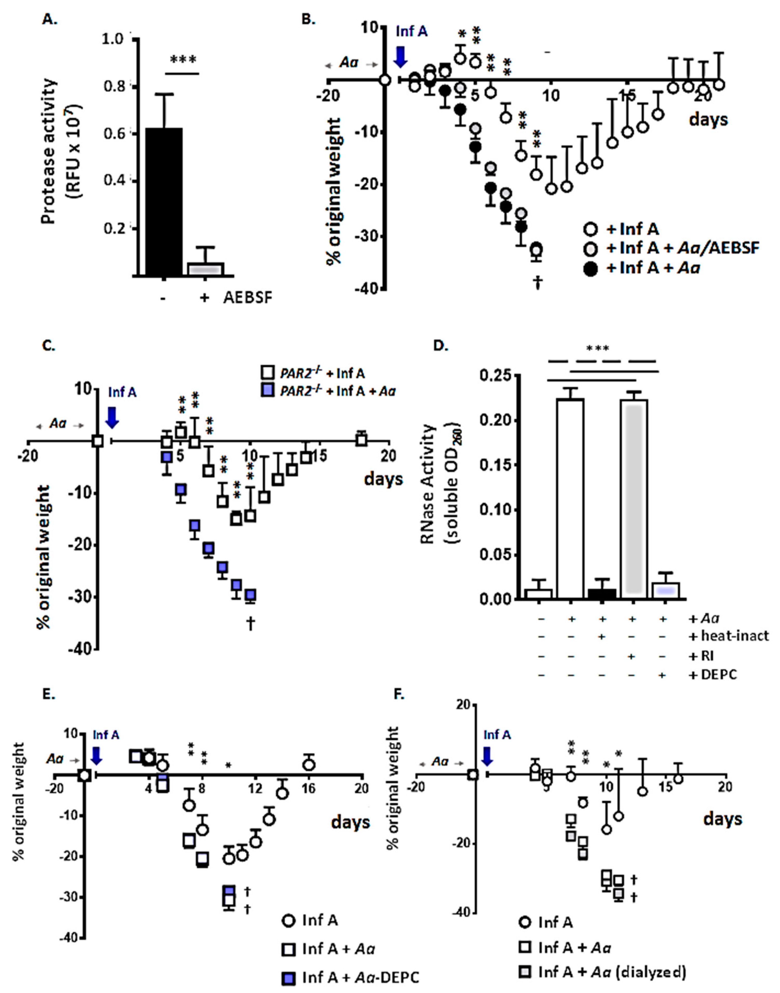 Viruses 12 00946 g006
