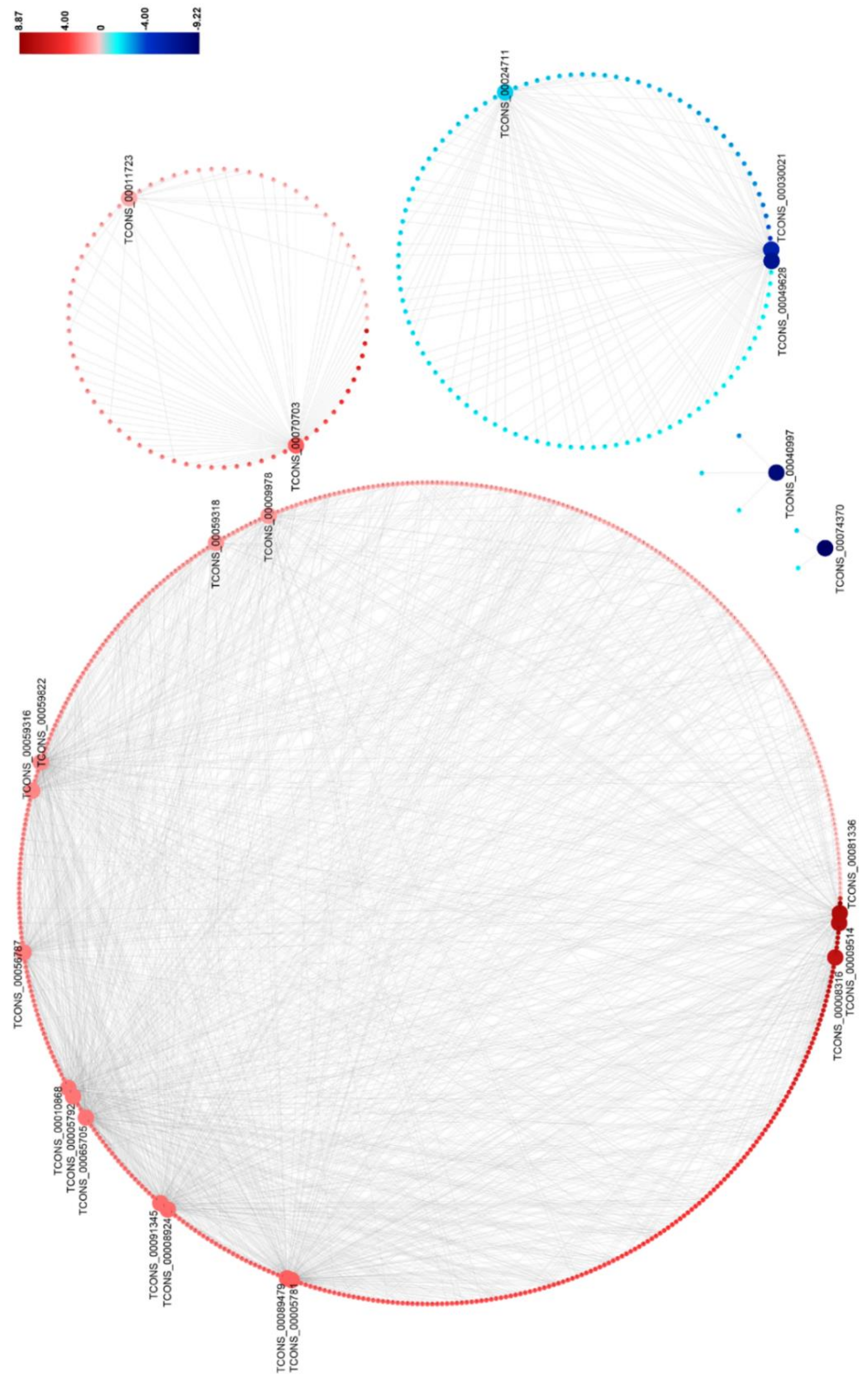 Viruses 12 00951 g005