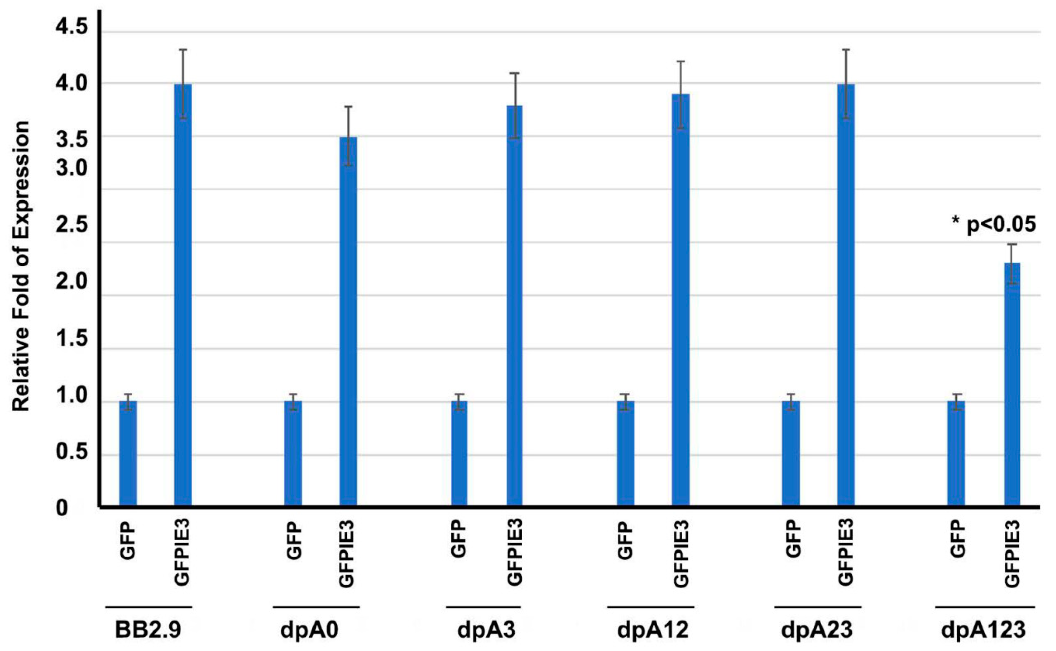 Viruses 12 00954 g003