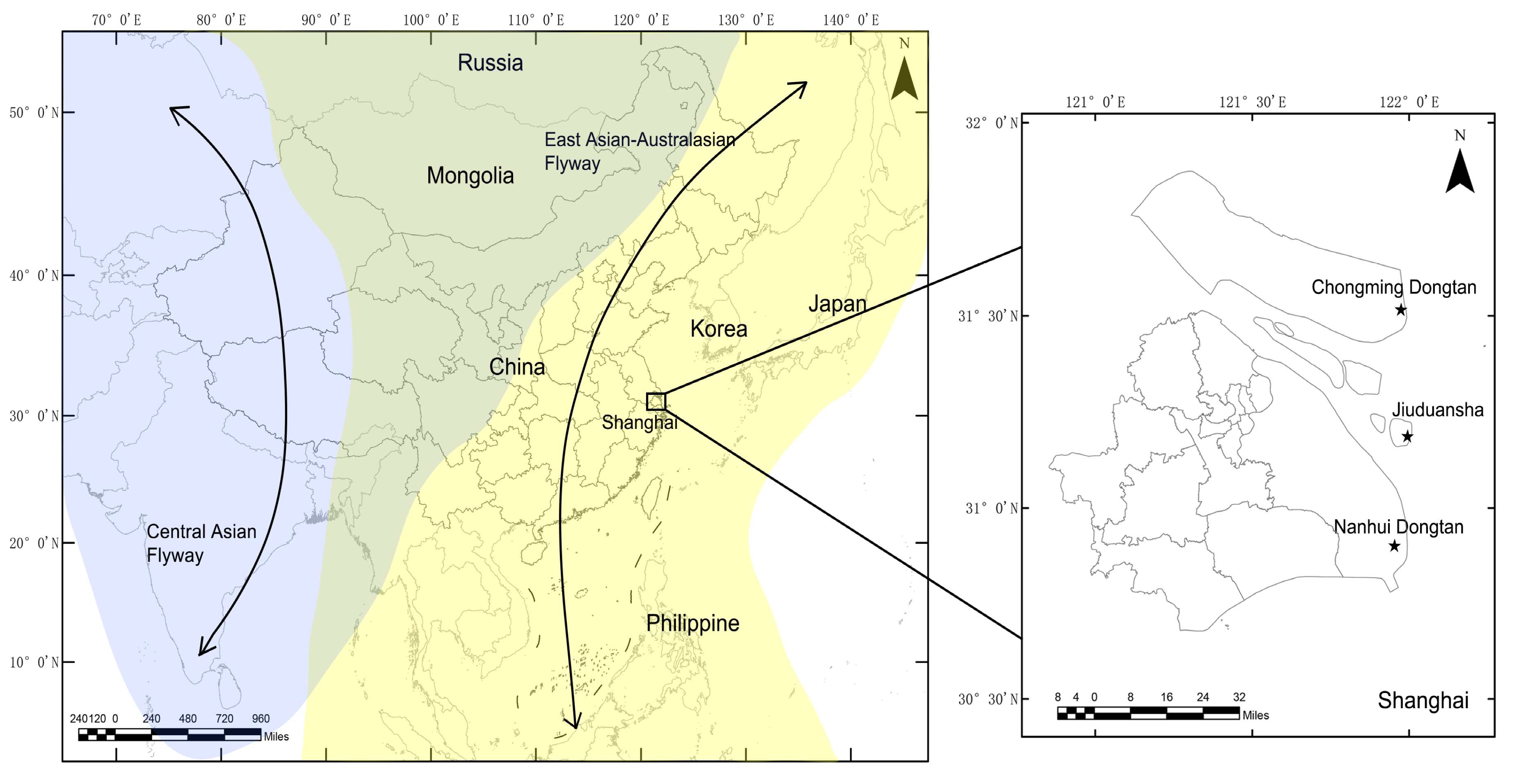 Viruses 12 01031 g001