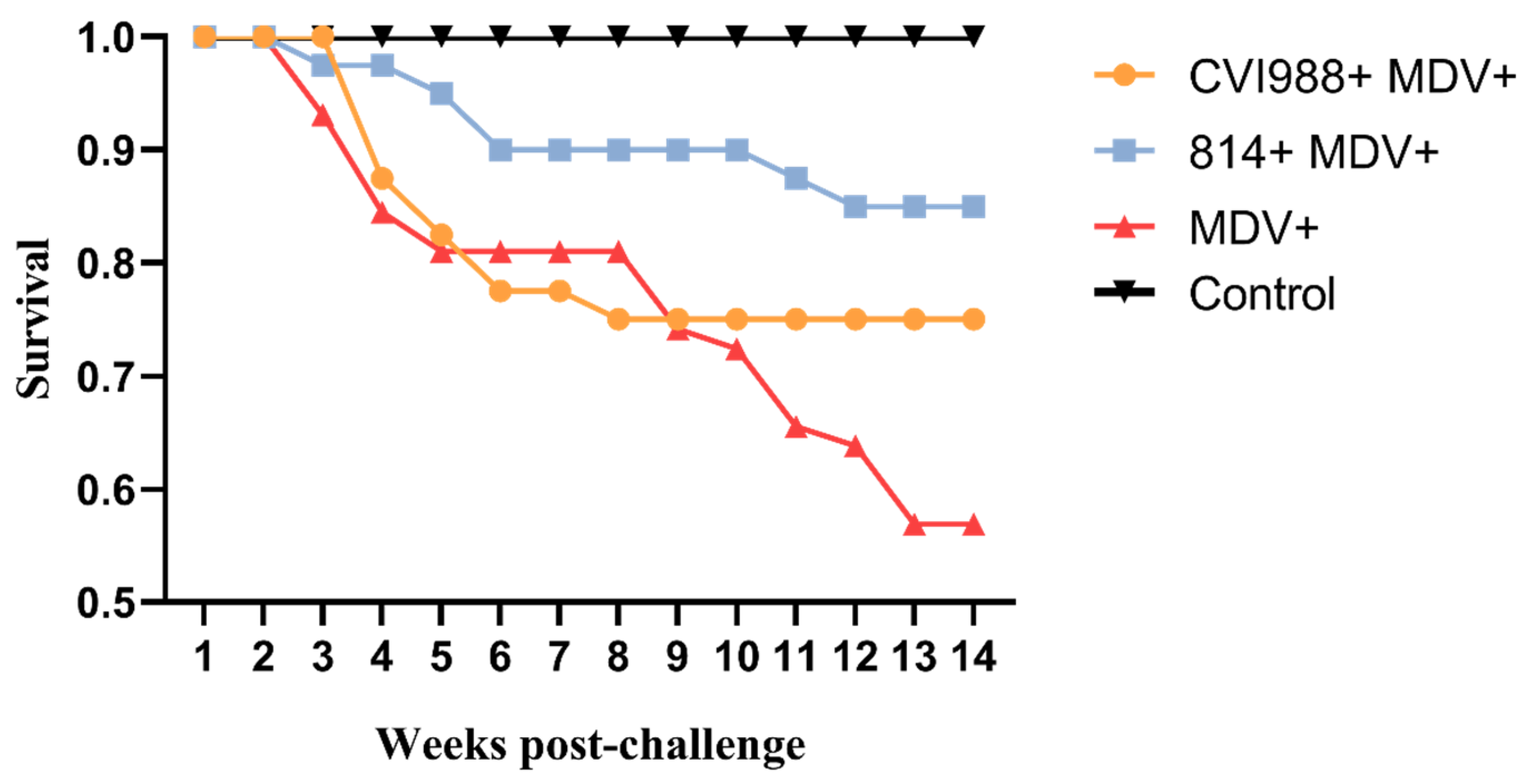 Viruses 12 01048 g005 Viruses 12 01048 g005
