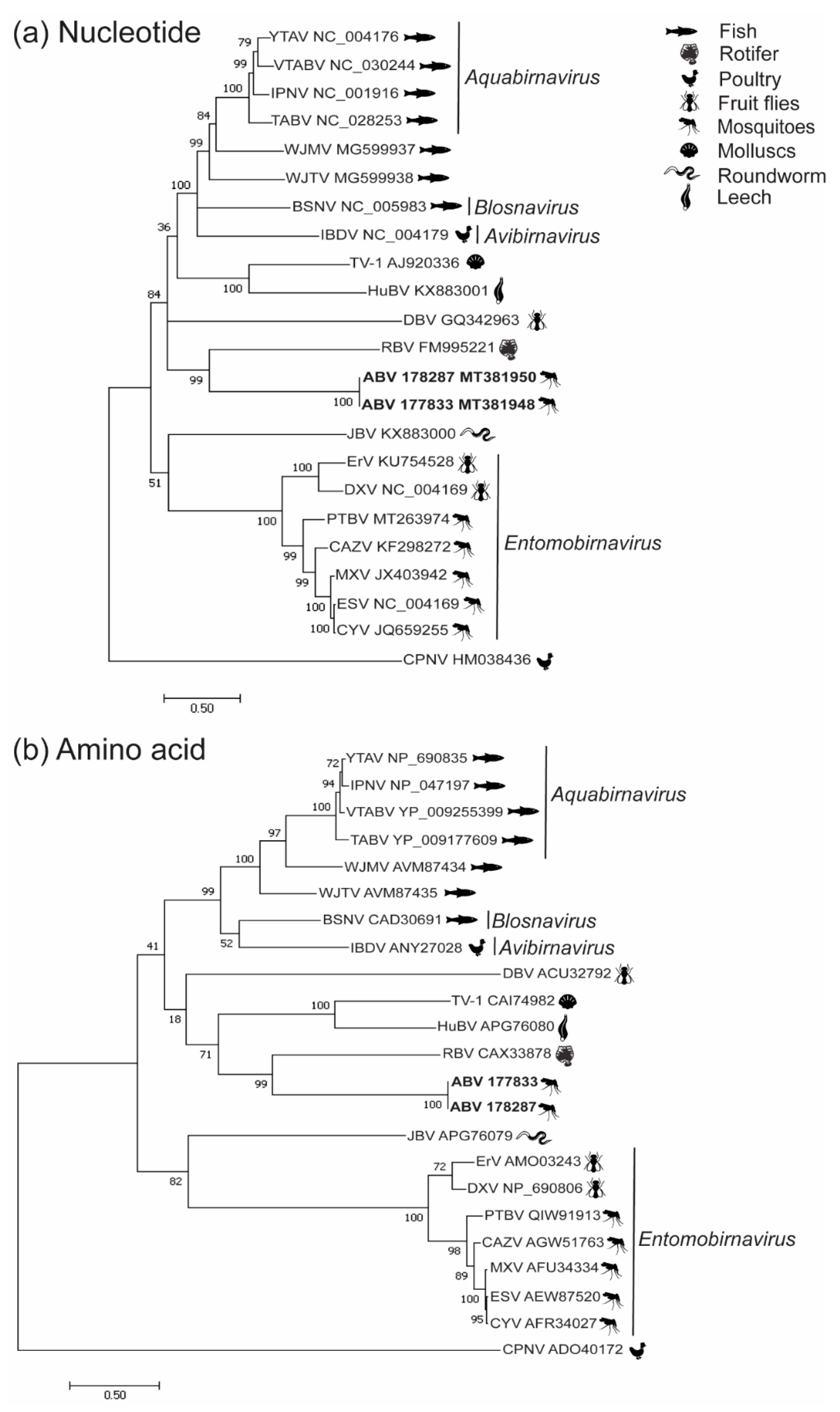 Viruses 12 01056 g002 Viruses 12 01056 g002