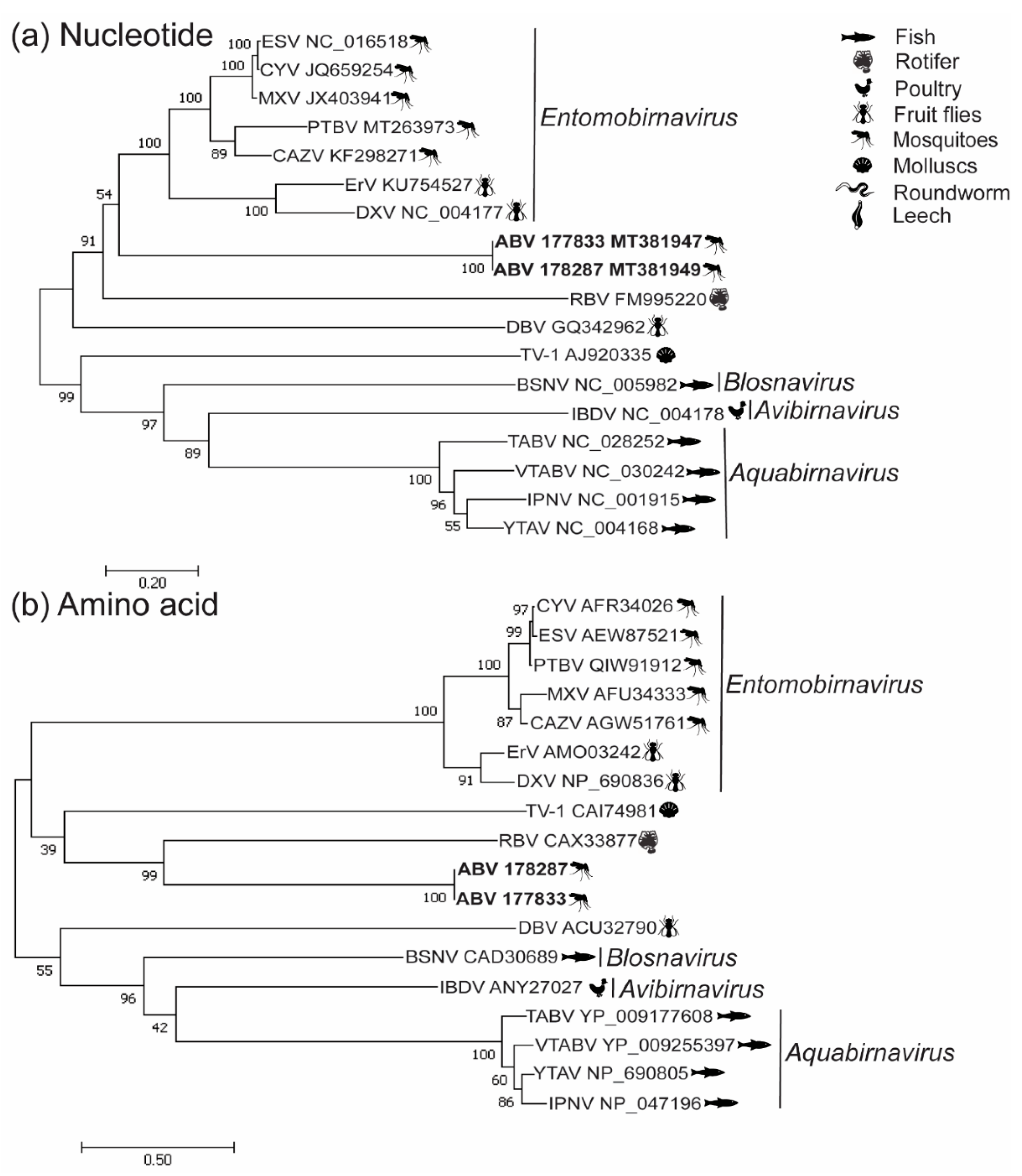 Viruses 12 01056 g003 Viruses 12 01056 g003