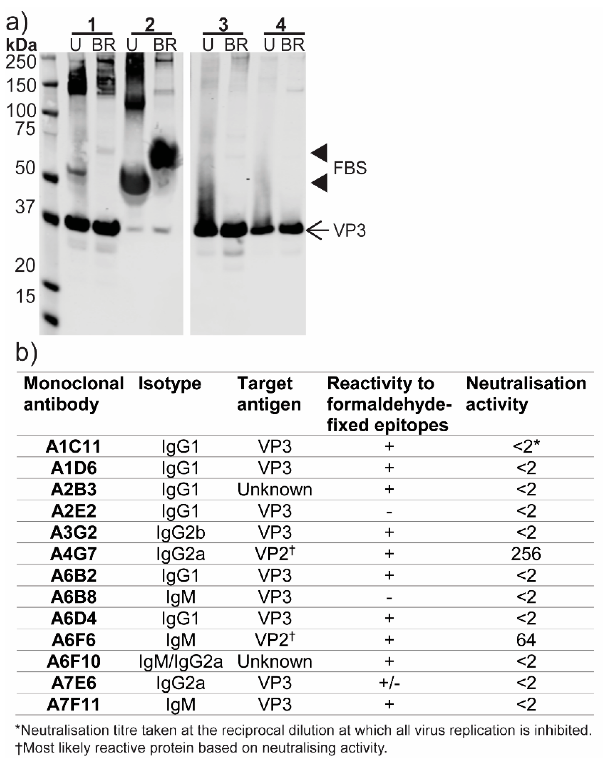 Viruses 12 01056 g007 Viruses 12 01056 g007