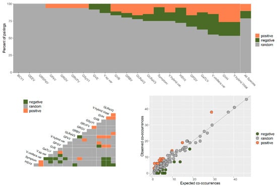 Viruses Free Full Text A Diverse Virome Of Leafroll Infected Grapevine Unveiled By Dsrna Sequencing Html