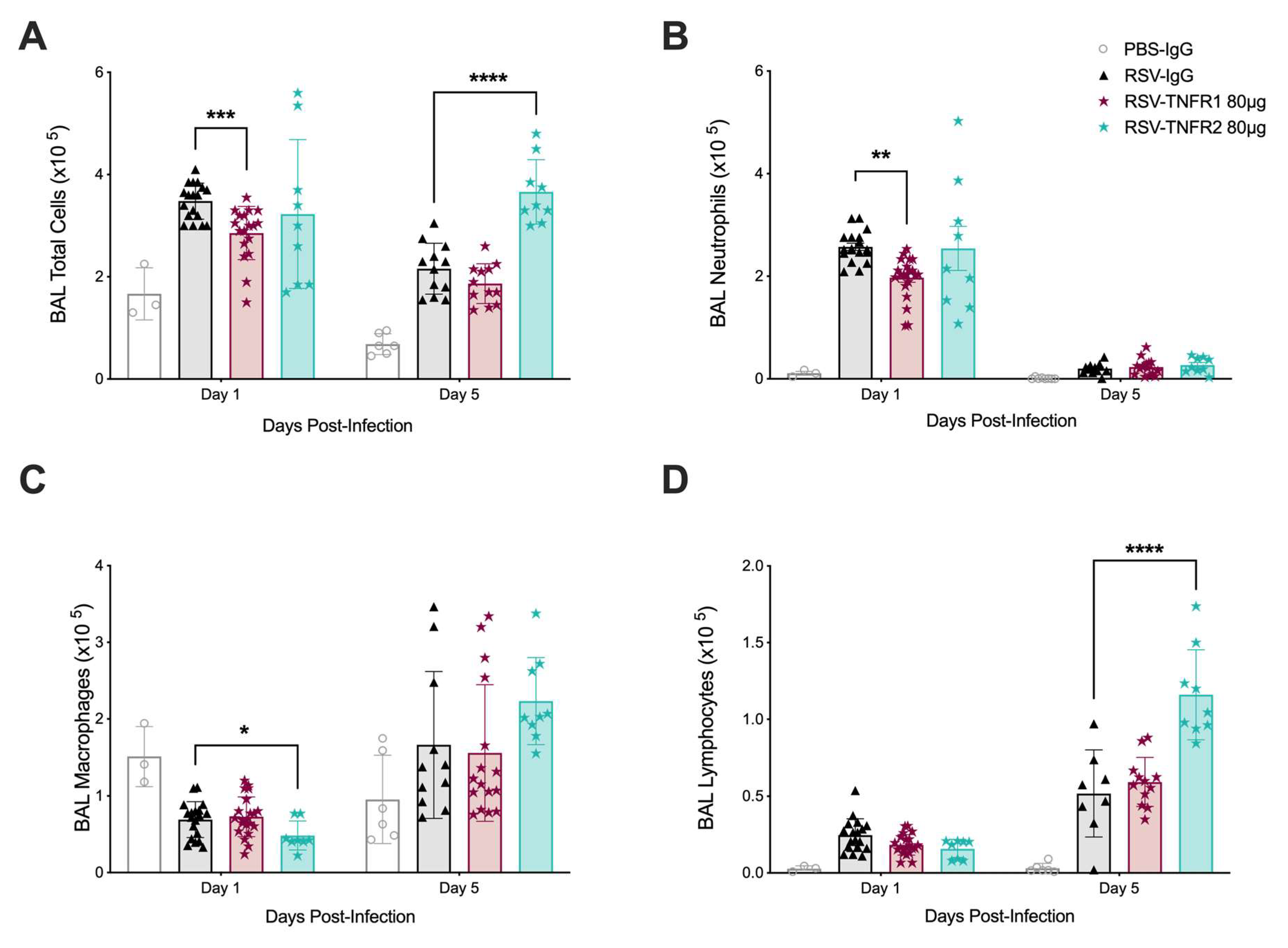 Viruses 12 01176 g003