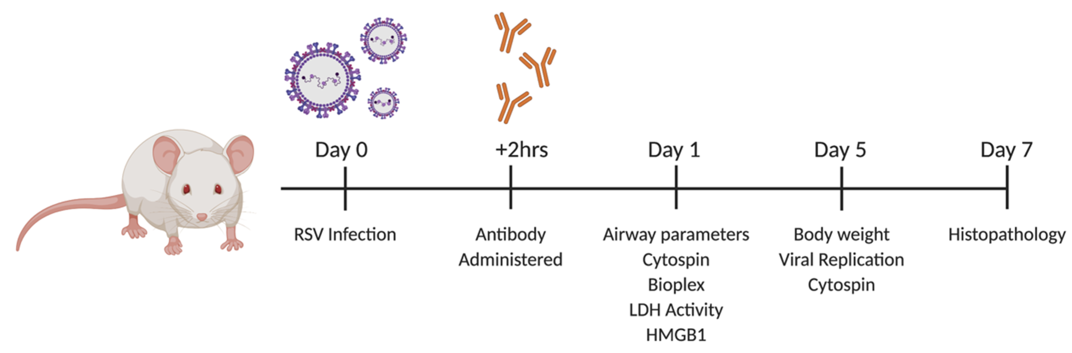 Viruses 12 01176 g006