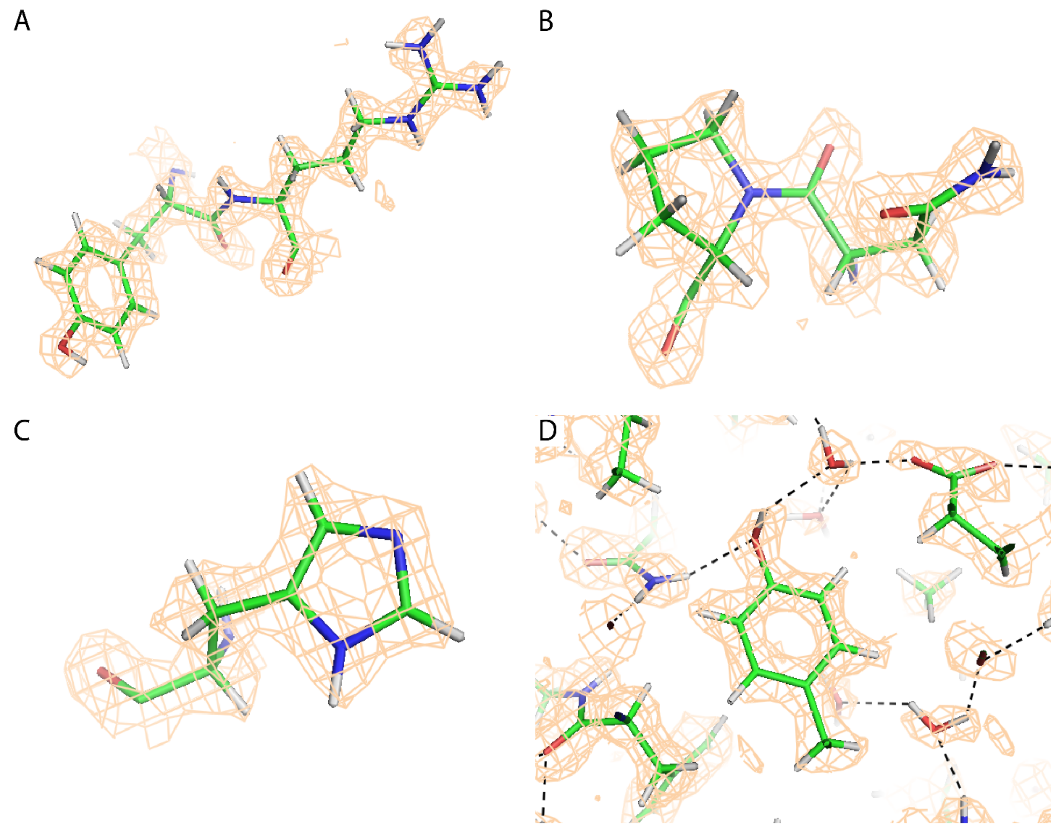 Viruses Free Full Text Adeno Associated Virus v Dj Cryo Em Structure At 1 56 A Resolution Html