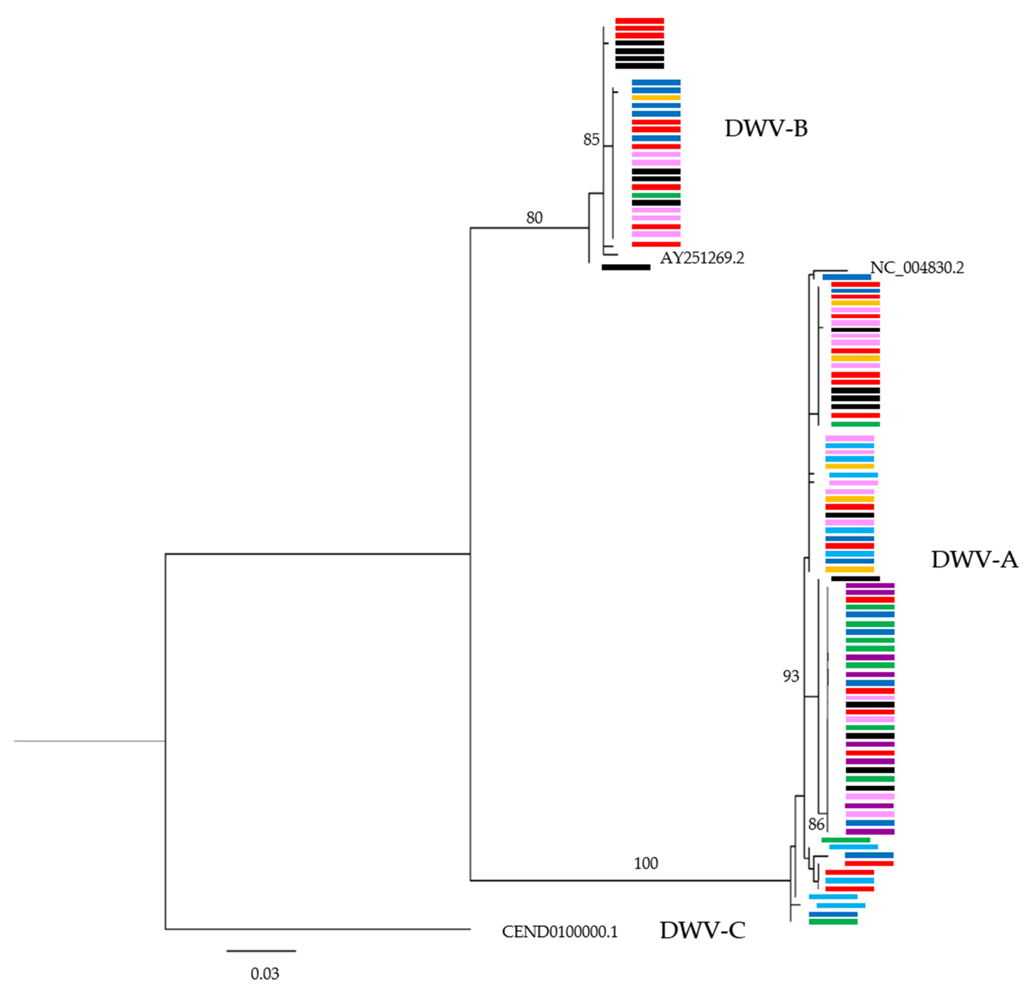 Viruses | Free Full-Text | RNAseq of Deformed Wing Virus and Other ...