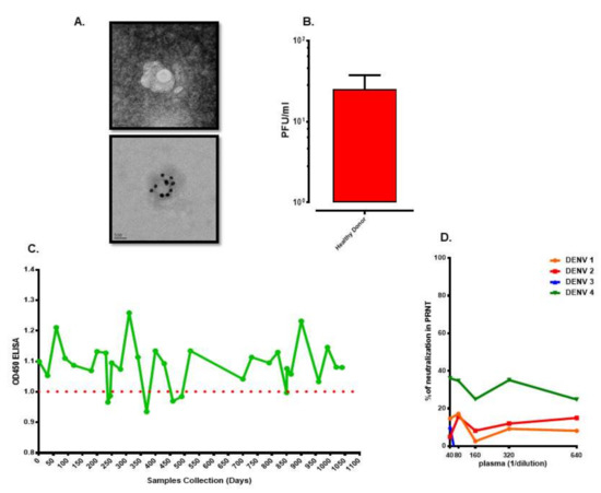 Viruses | Free Full-Text | Use of Animal Models in Studying Roles of