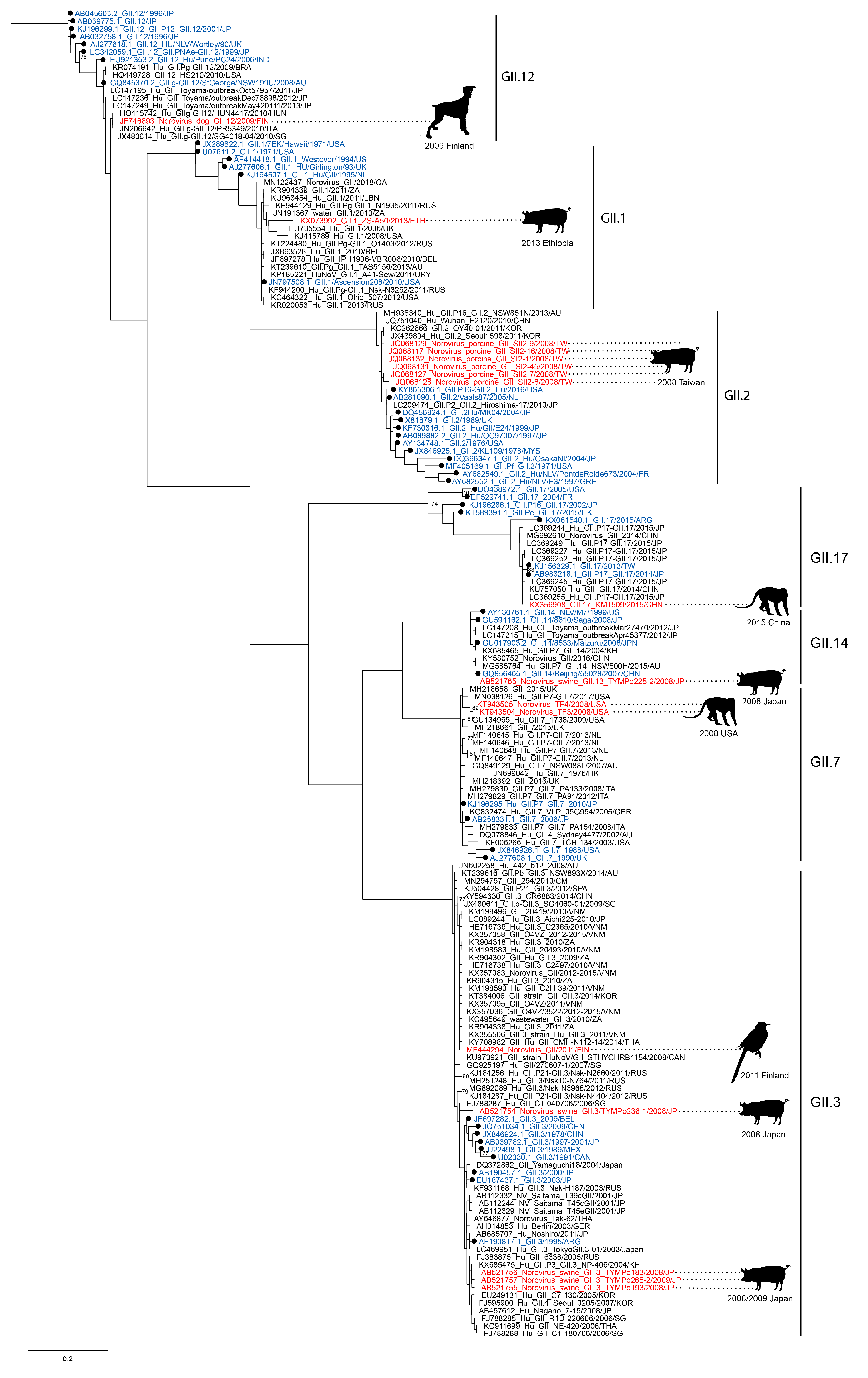 Viruses 12 01287 g002