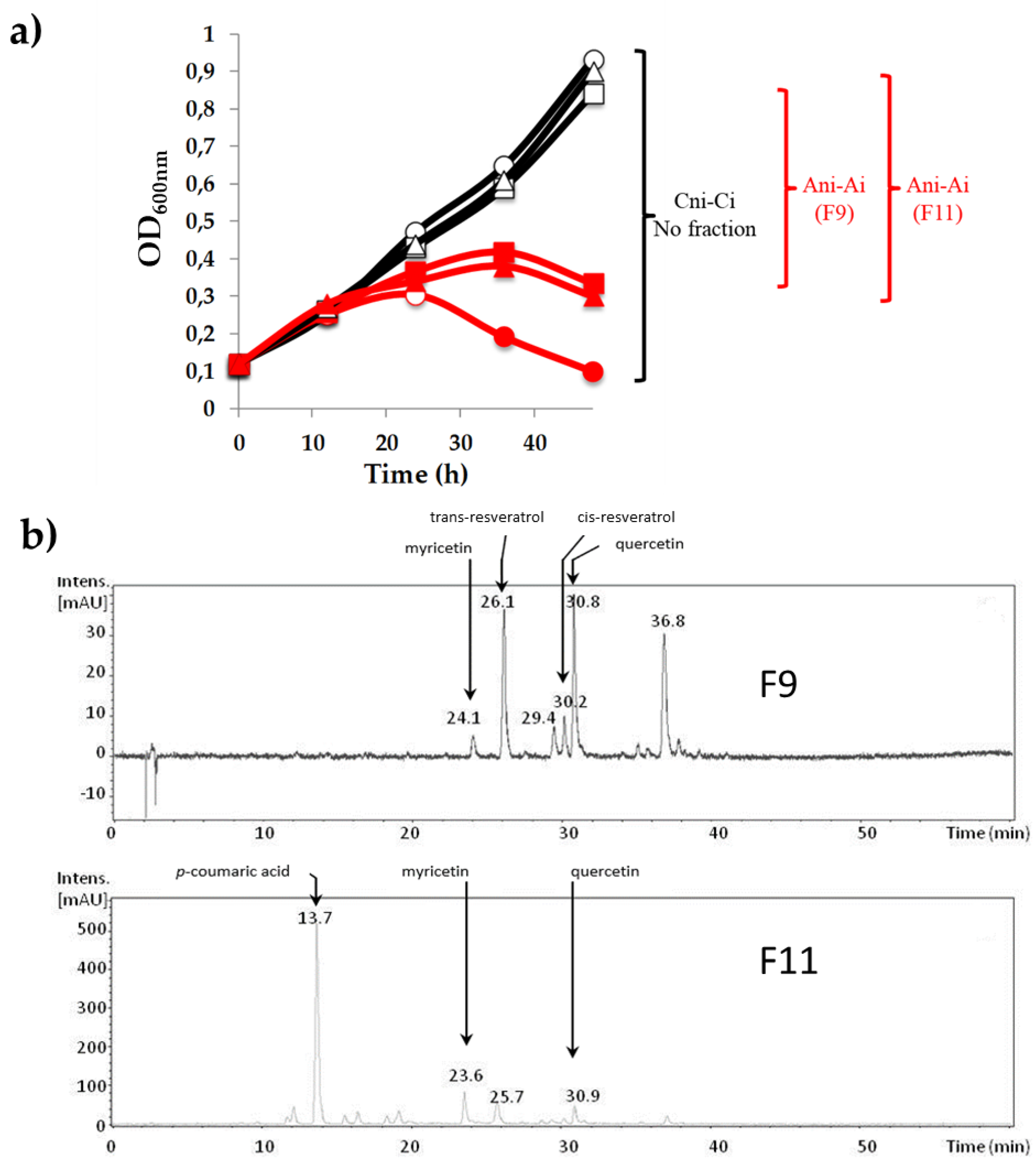 Viruses 12 01316 g001