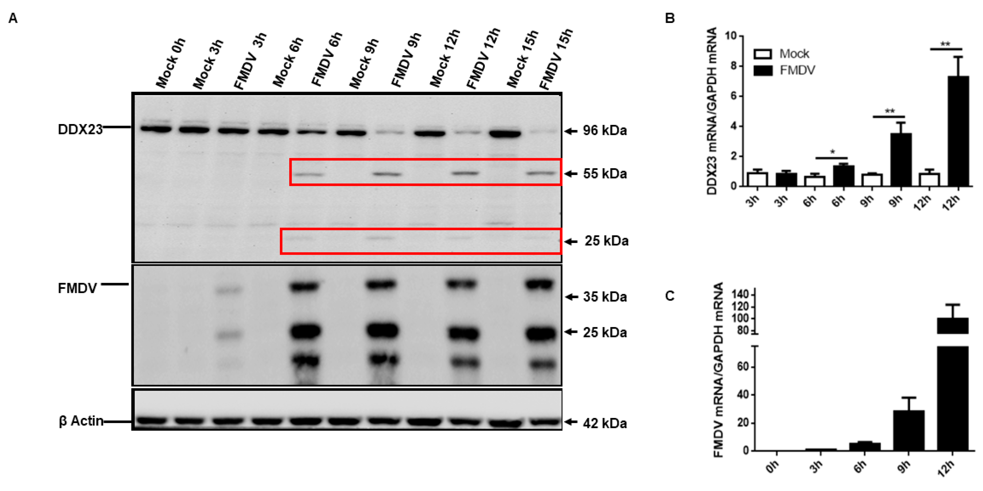 Viruses 12 01348 g003