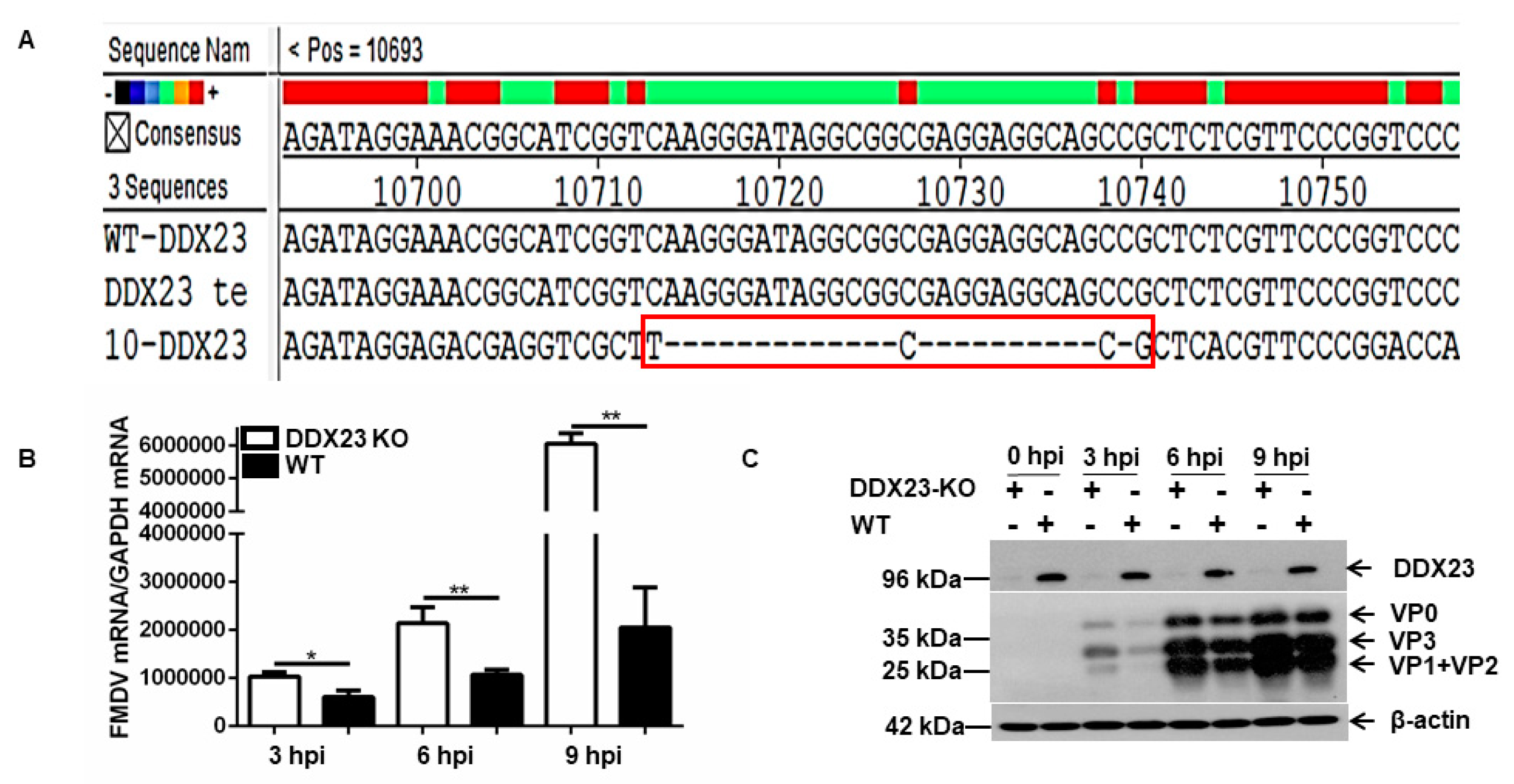 Viruses 12 01348 g005