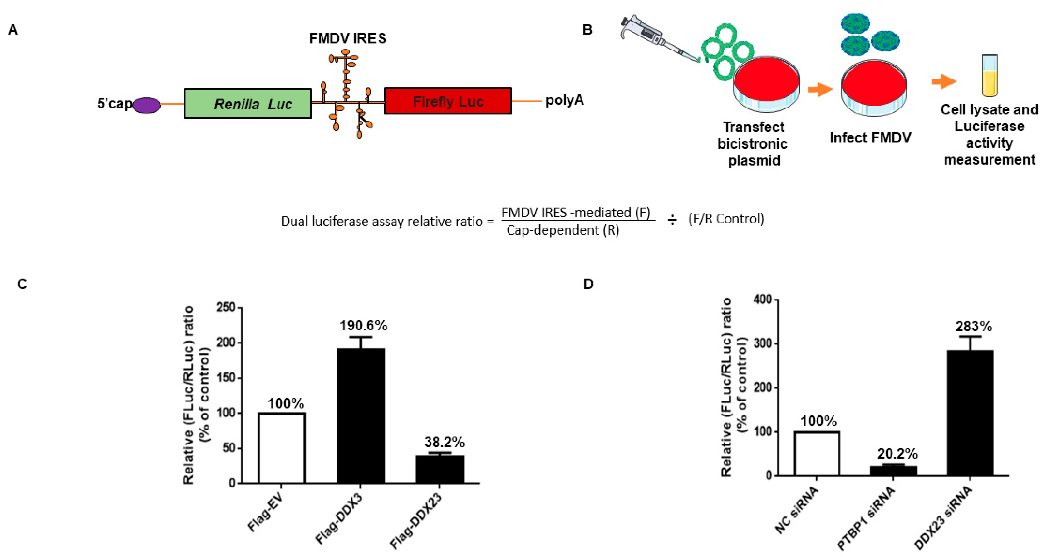 Viruses 12 01348 g006