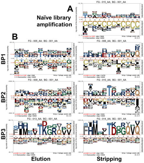 Viruses Free Full Text Application Of Next Generation Sequencing Ngs In Phage Displayed Peptide Selection To Support The Identification Of Arsenic Binding Motifs Html