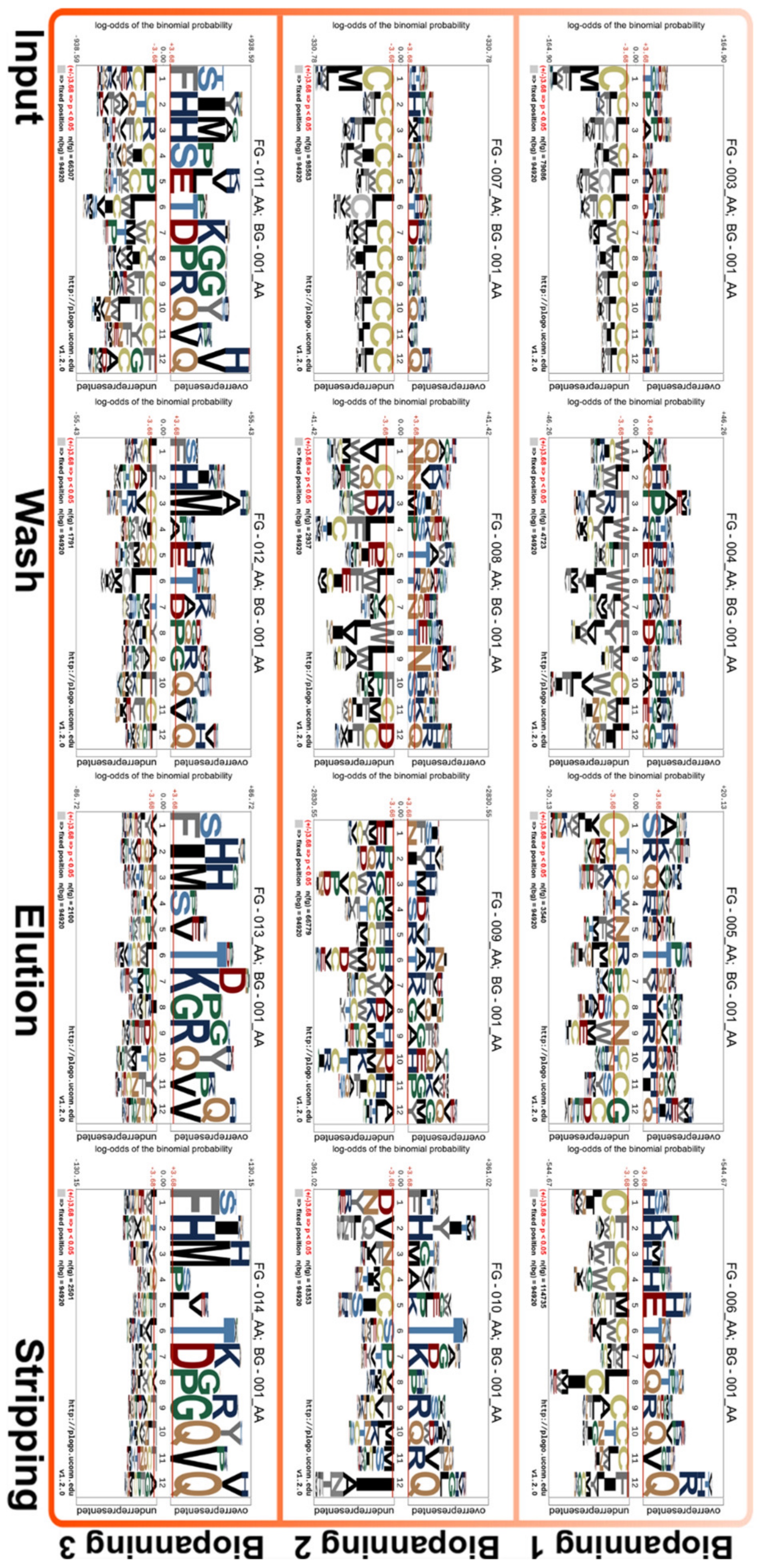 Viruses Free Full Text Application Of Next Generation Sequencing Ngs In Phage Displayed Peptide Selection To Support The Identification Of Arsenic Binding Motifs Html